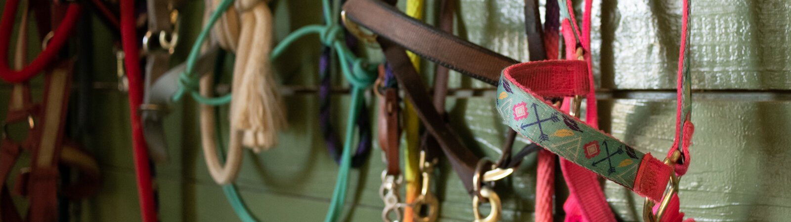 The Summit Equestrian Center at 10808 La Cabreah Ln. hosts equine therapy programs in Fort Wayne.