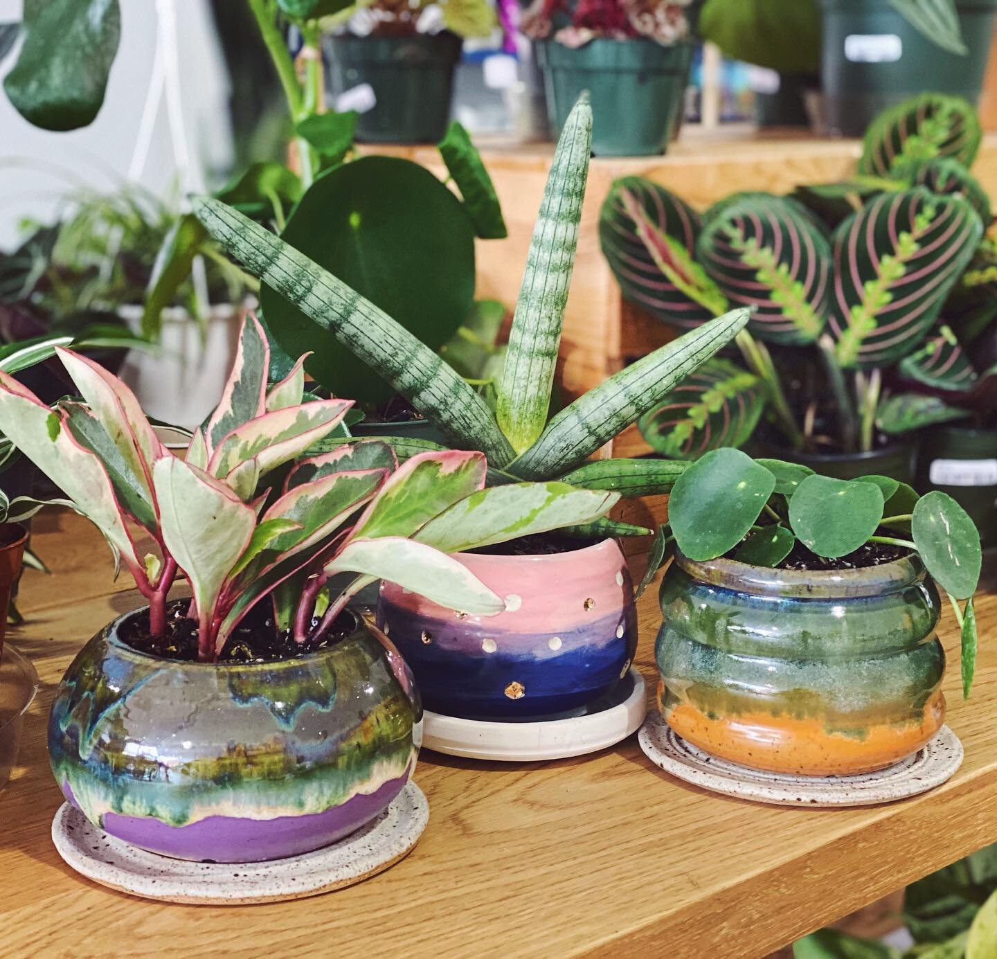 In addition to plants, Honey Plant sells locally made pottery.