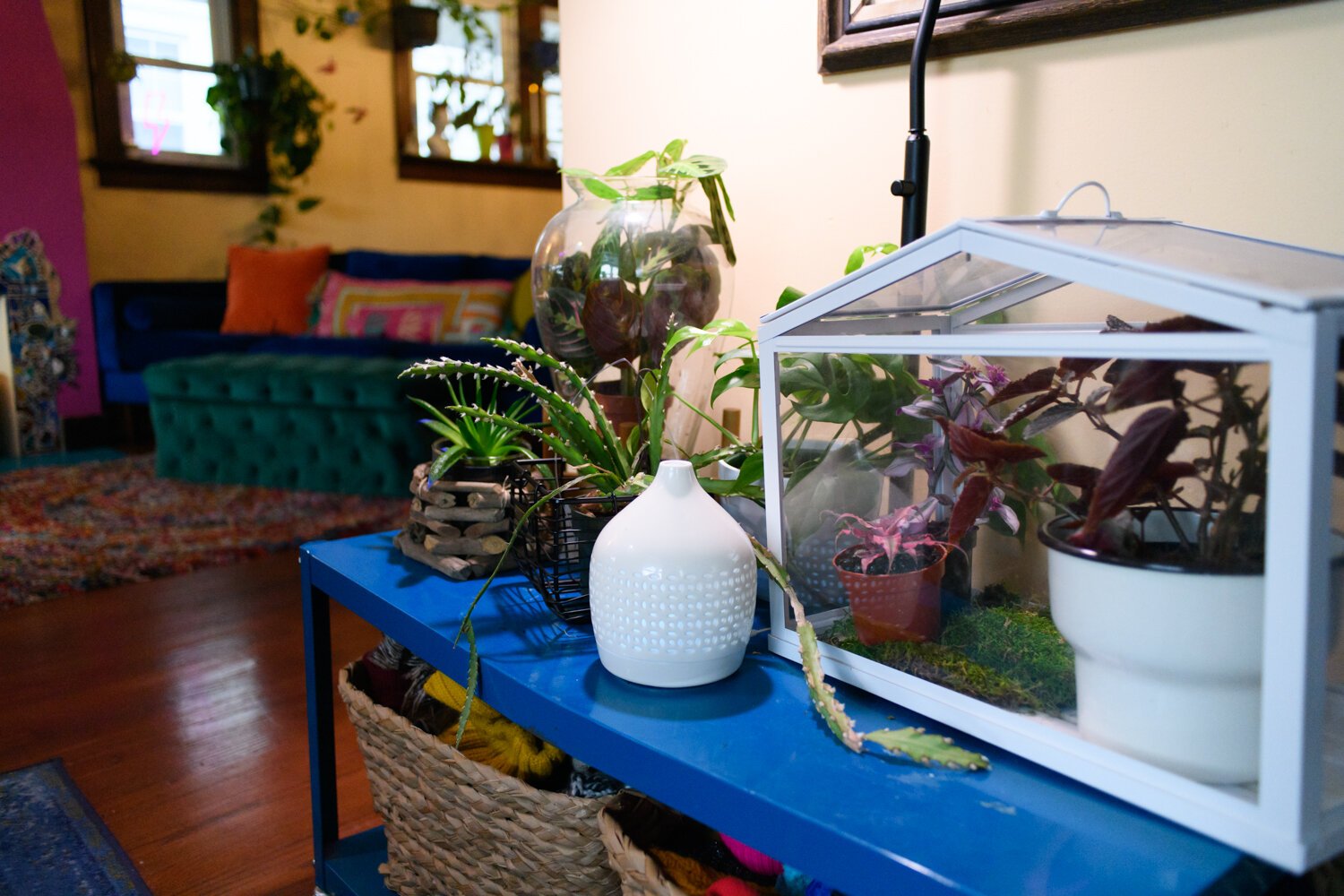 The Porter family's hobbit-inspired home in Fort Wayne is full of color and plants.