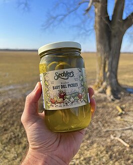 Baby Dill Pickles from Sechler's Fine Pickles in St. Joe, Indiana.