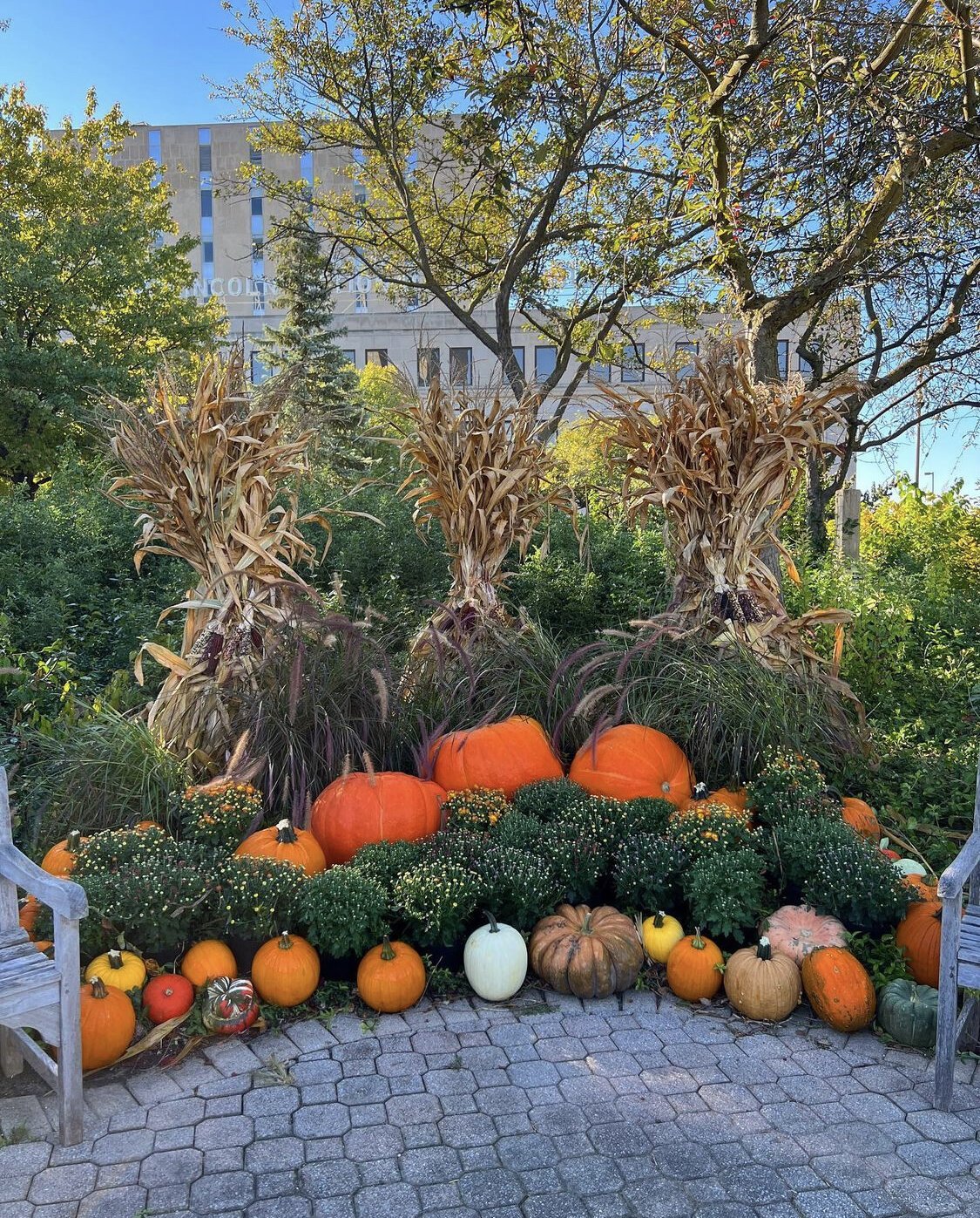 The Pumpkin Path Display is now open at the Botanical Conservatory.
