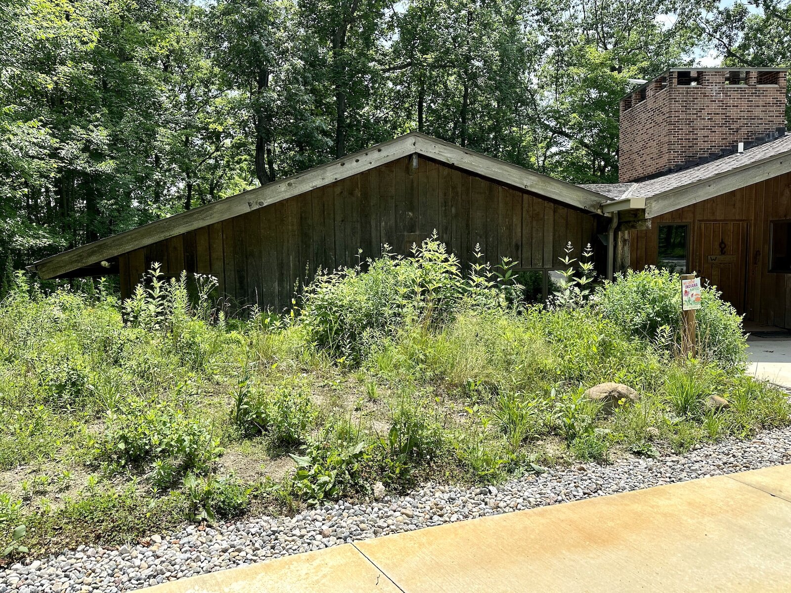 Plants native to Indiana outside of the ACRES Land Trust office.