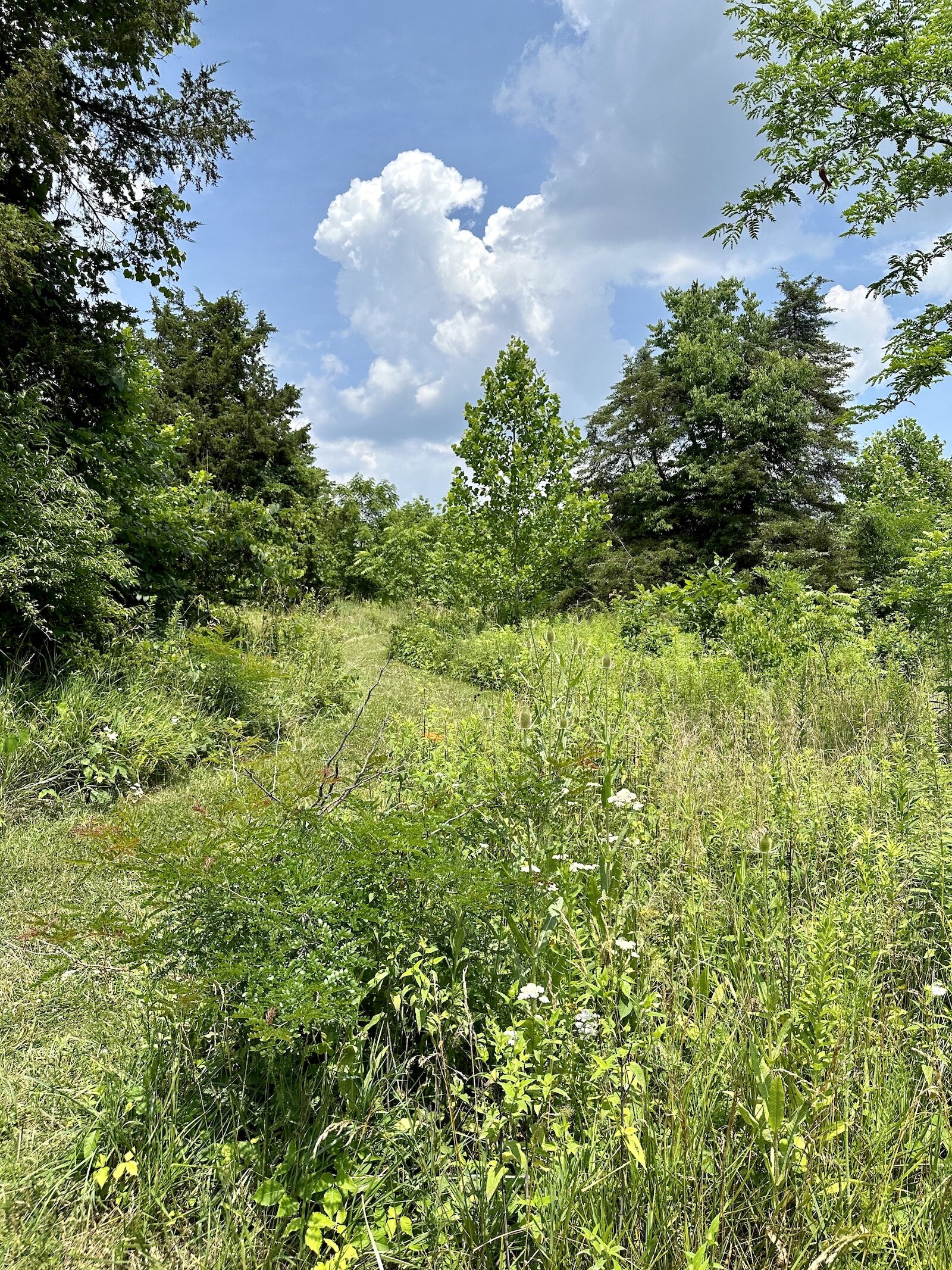 Land protected by ACRES Land Trust in Allen County.