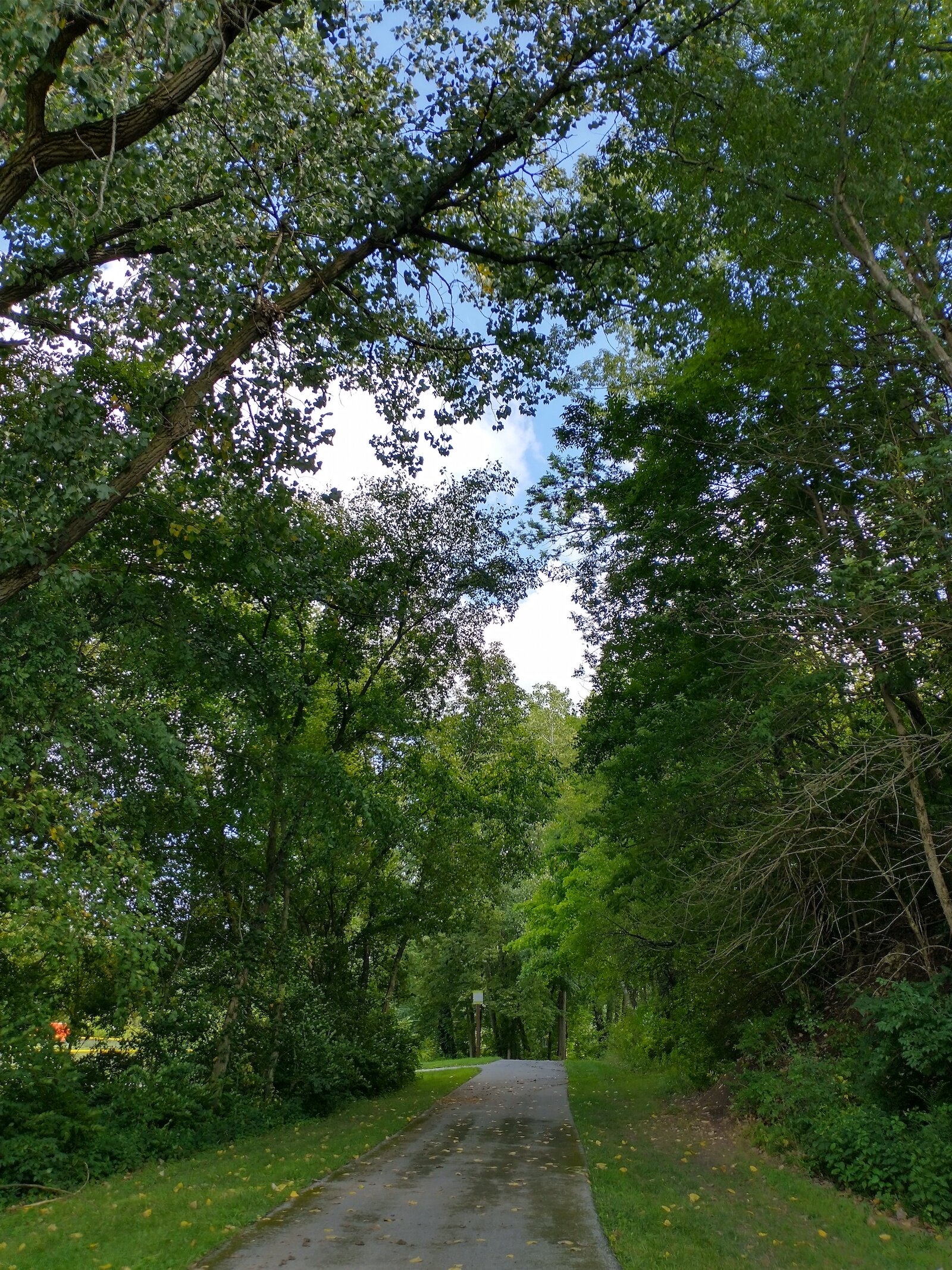 A trail in Wabash County.