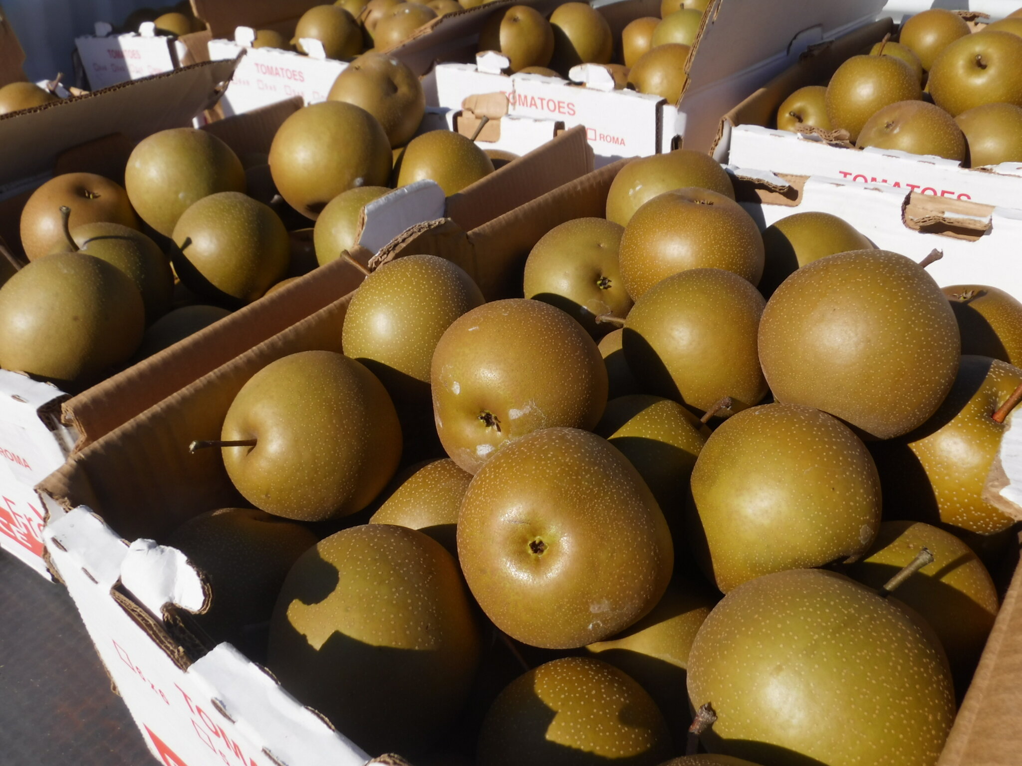 Pears from David Doud’s Countyline Orchard.