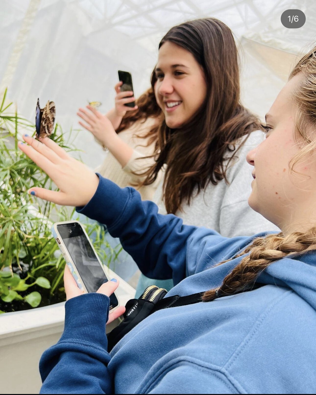 Visitors enjoy the live butterfly exhibit at Foellinger-Freimann Botanical Conservatory.