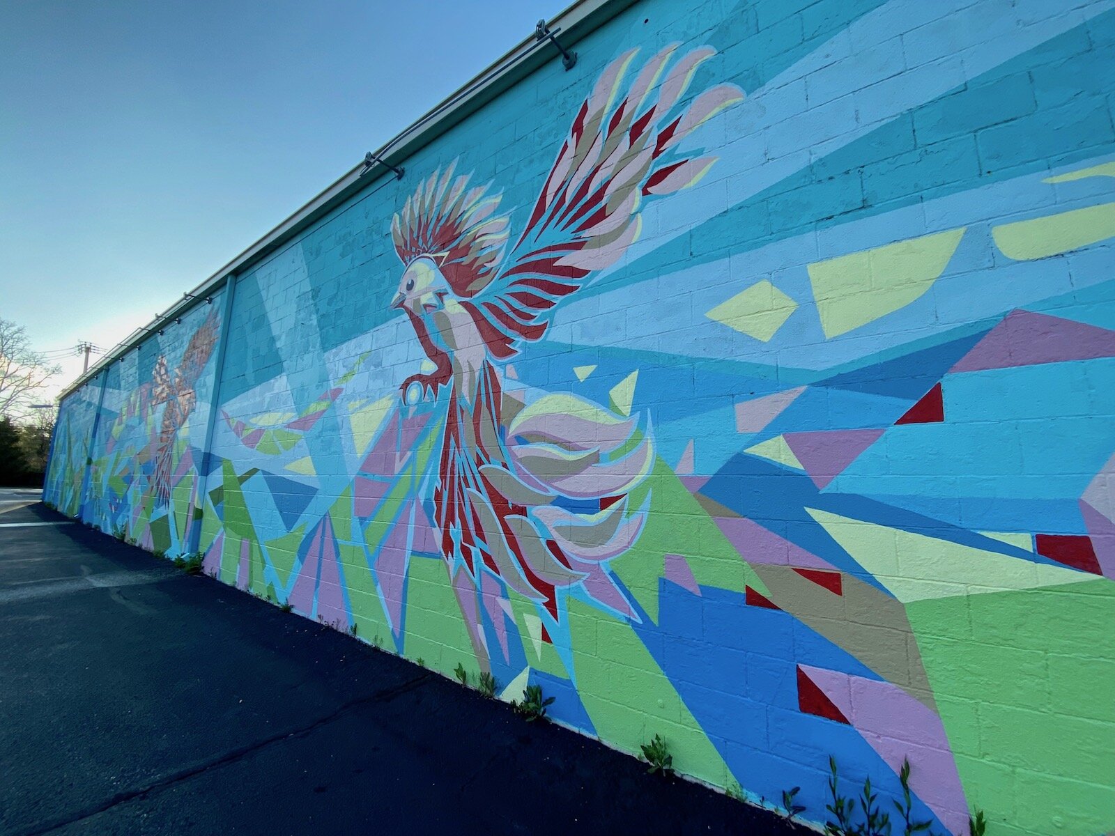 Murals on the side of Firefly Coffee and the Health Food Shoppe in the 3500 block of N. Anthony Blvd.