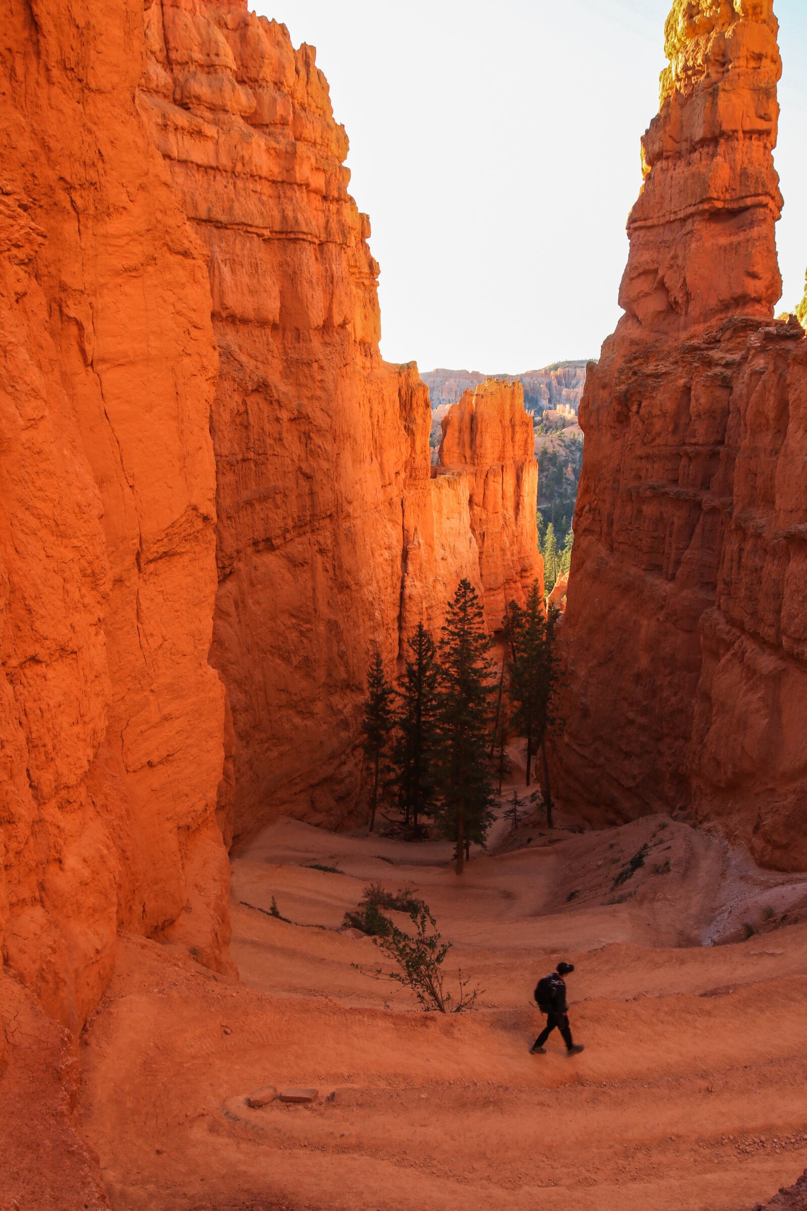 Erica Esslinger hikes through Bryce Canyon National Park in Utah.