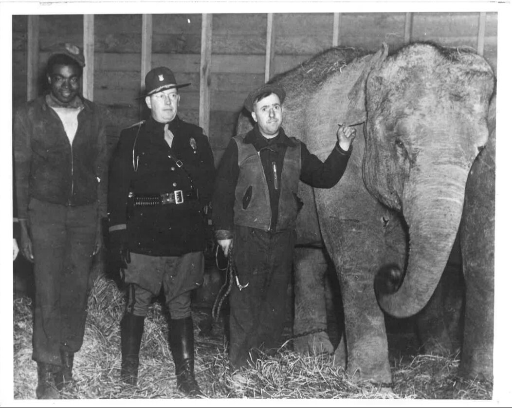 Modoc the elephant, who once broke free from the circus and explored Wabash.