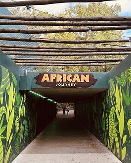 Next time you are at the Fort Wayne Children’s Zoo, take in the sights and sounds of the African continent.