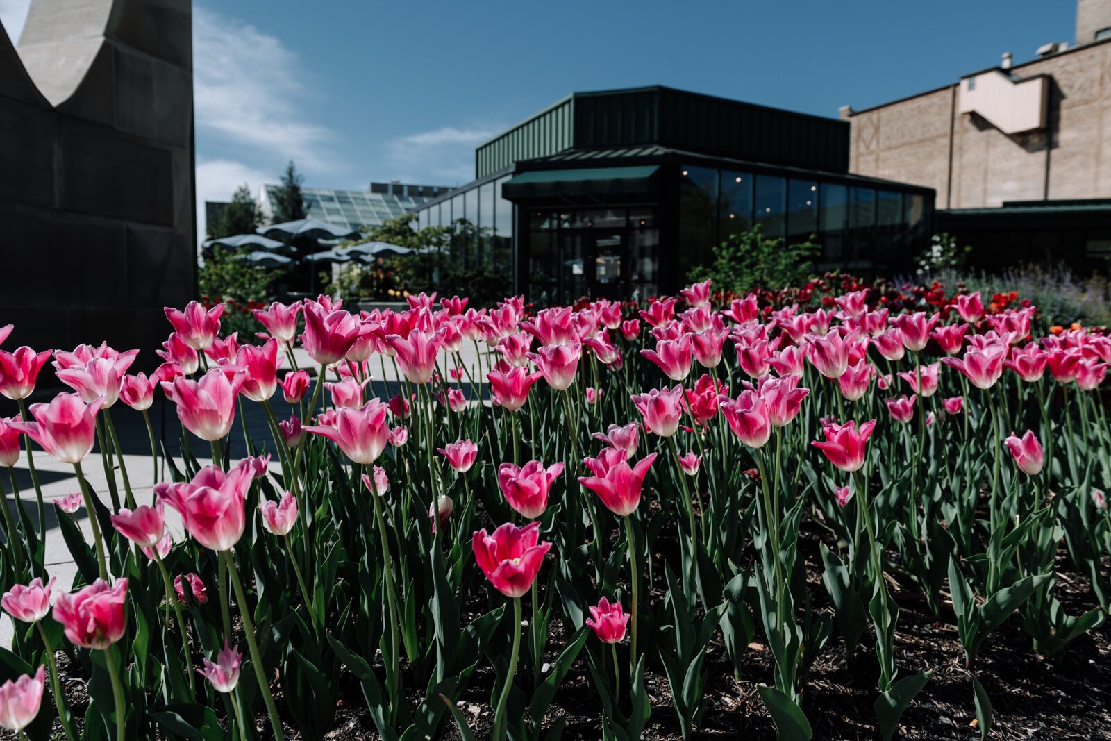 The Botanical Conservatory is within the Downtown DORA.