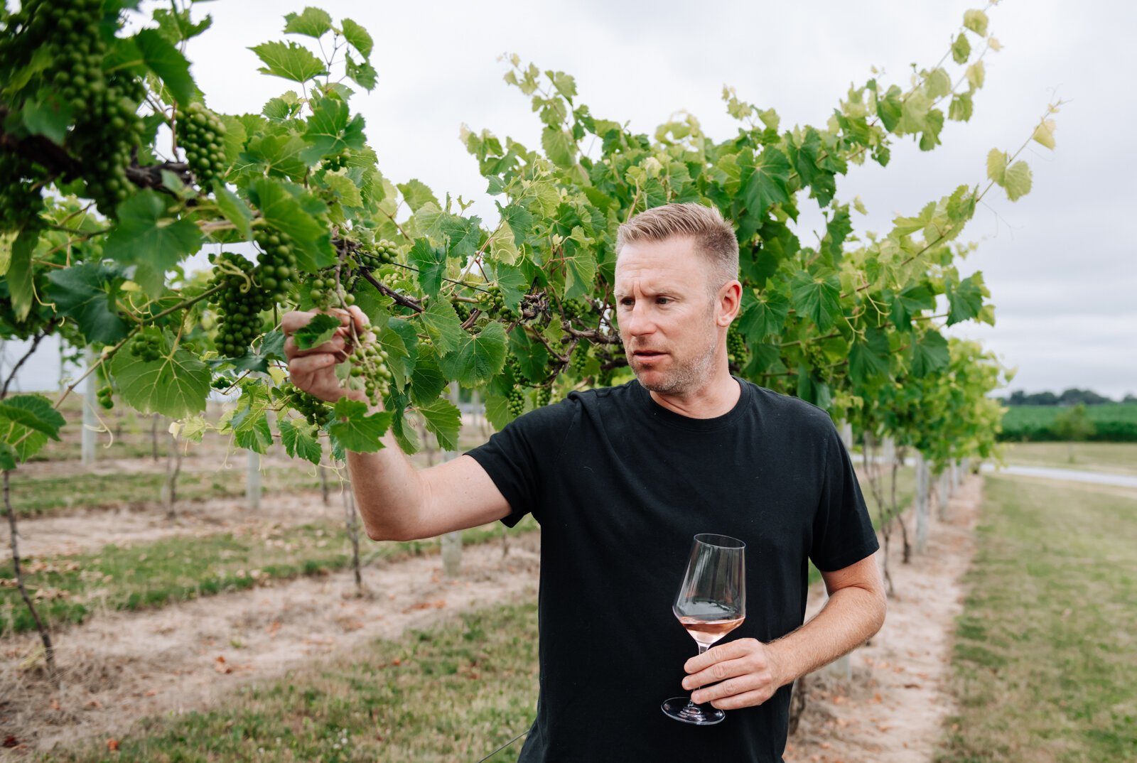 Owner Shane Christ looks at the Seyval Blanc grapes at Hartland Winery.