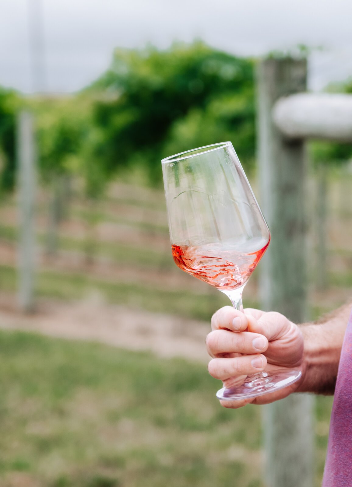 Winemaker Kirk Etheridge enjoys a Gabby Tabby Blush wine at Hartland Winery.