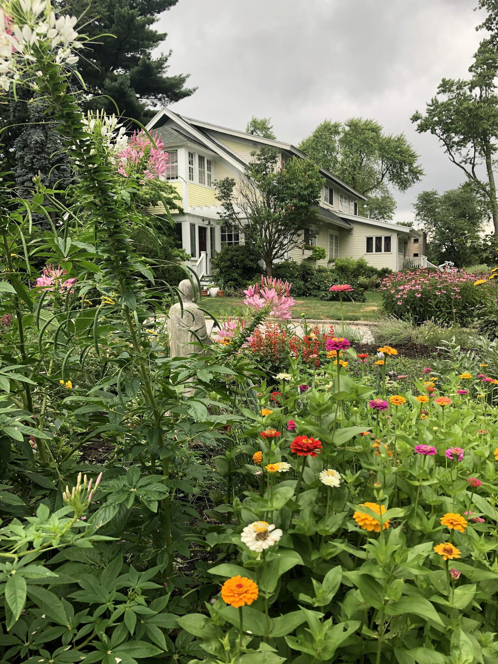 A look at the Hills' garden.