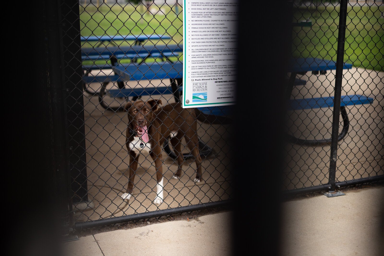 Johnny Appleseed Campground offers a members-only dog park.