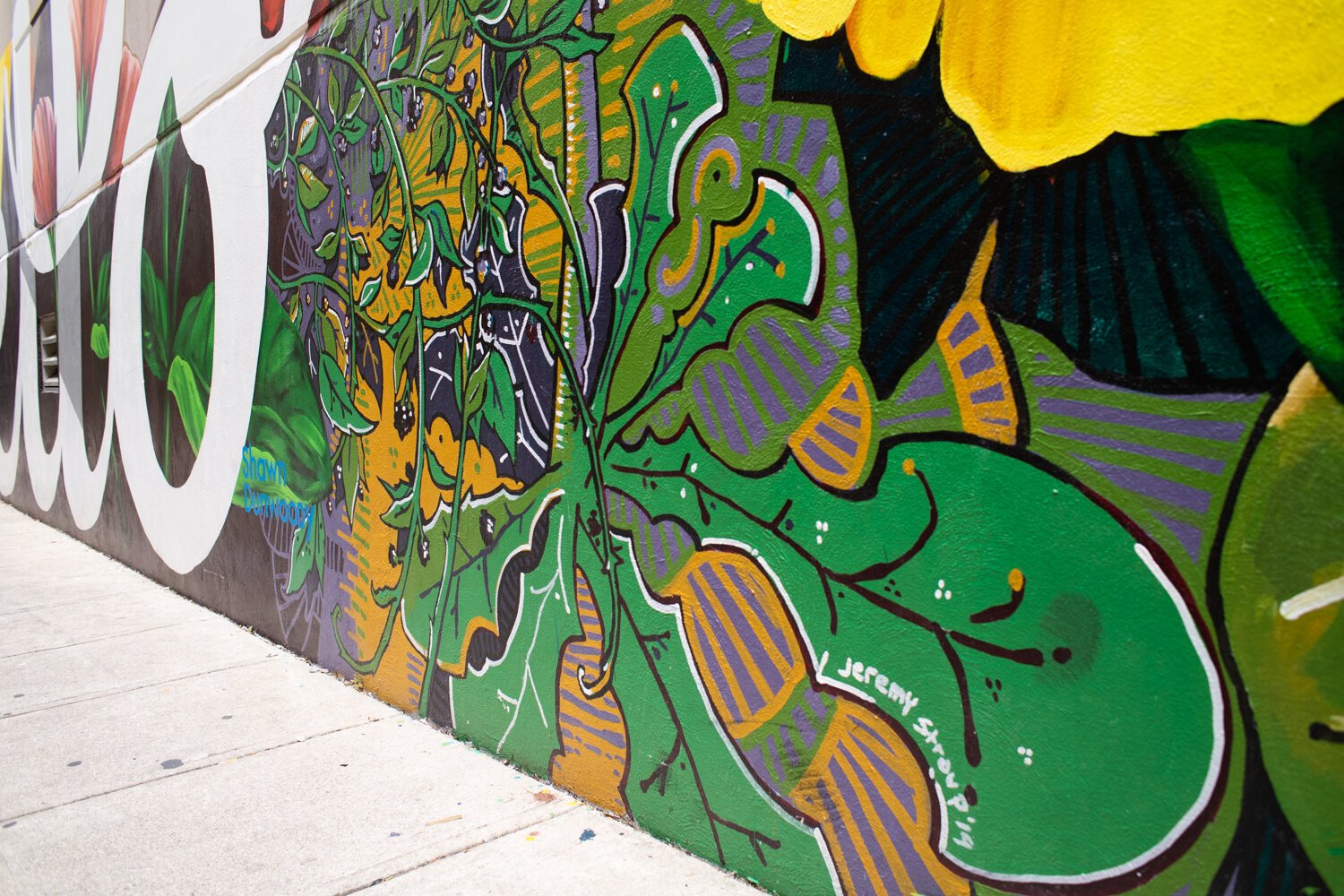 Jeremy Stroup helped artist Shawn Dunwoody with the "Hello" mural in the alley at 120 W. Wayne St. in downtown Fort Wayne.