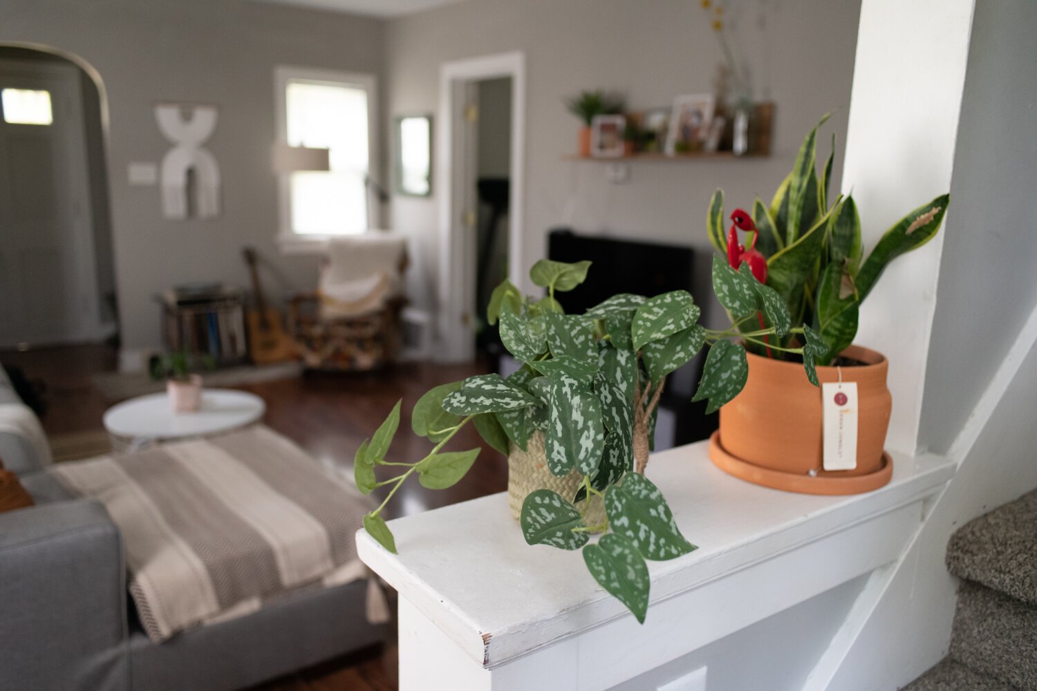 The living room has a modern, bohemian style of decor. 