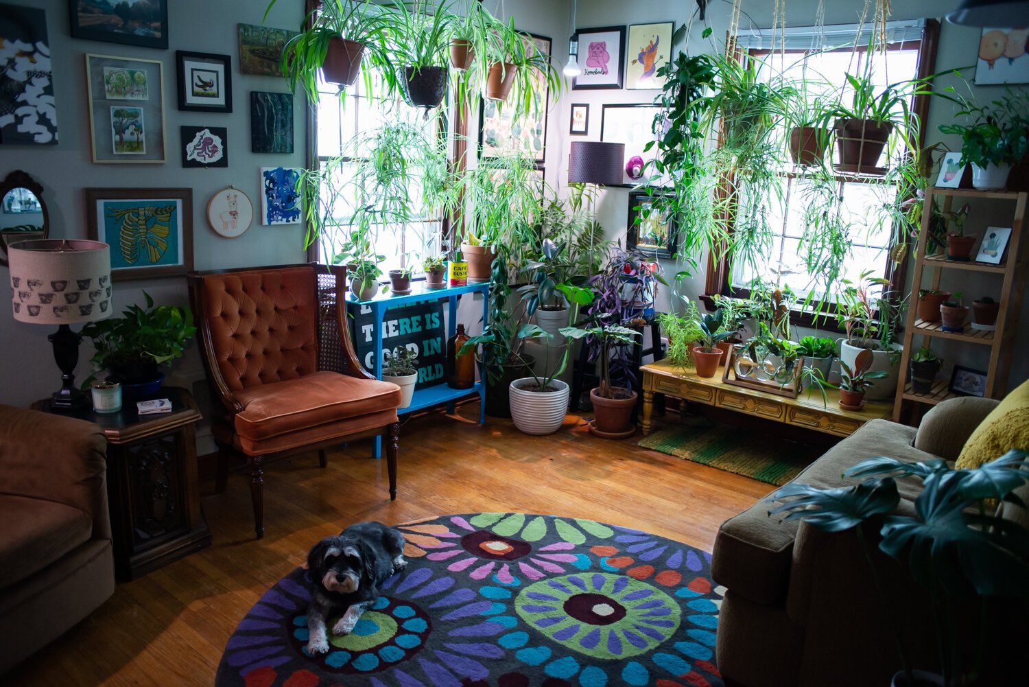 A variety of plants fill the living room as their dog Jake sits on the rug.