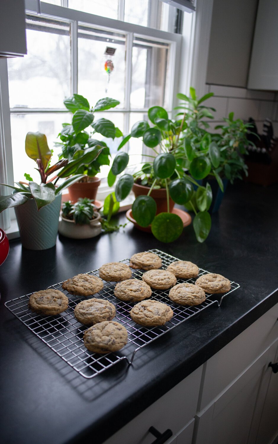 Fresh cookies in the kitchen light.