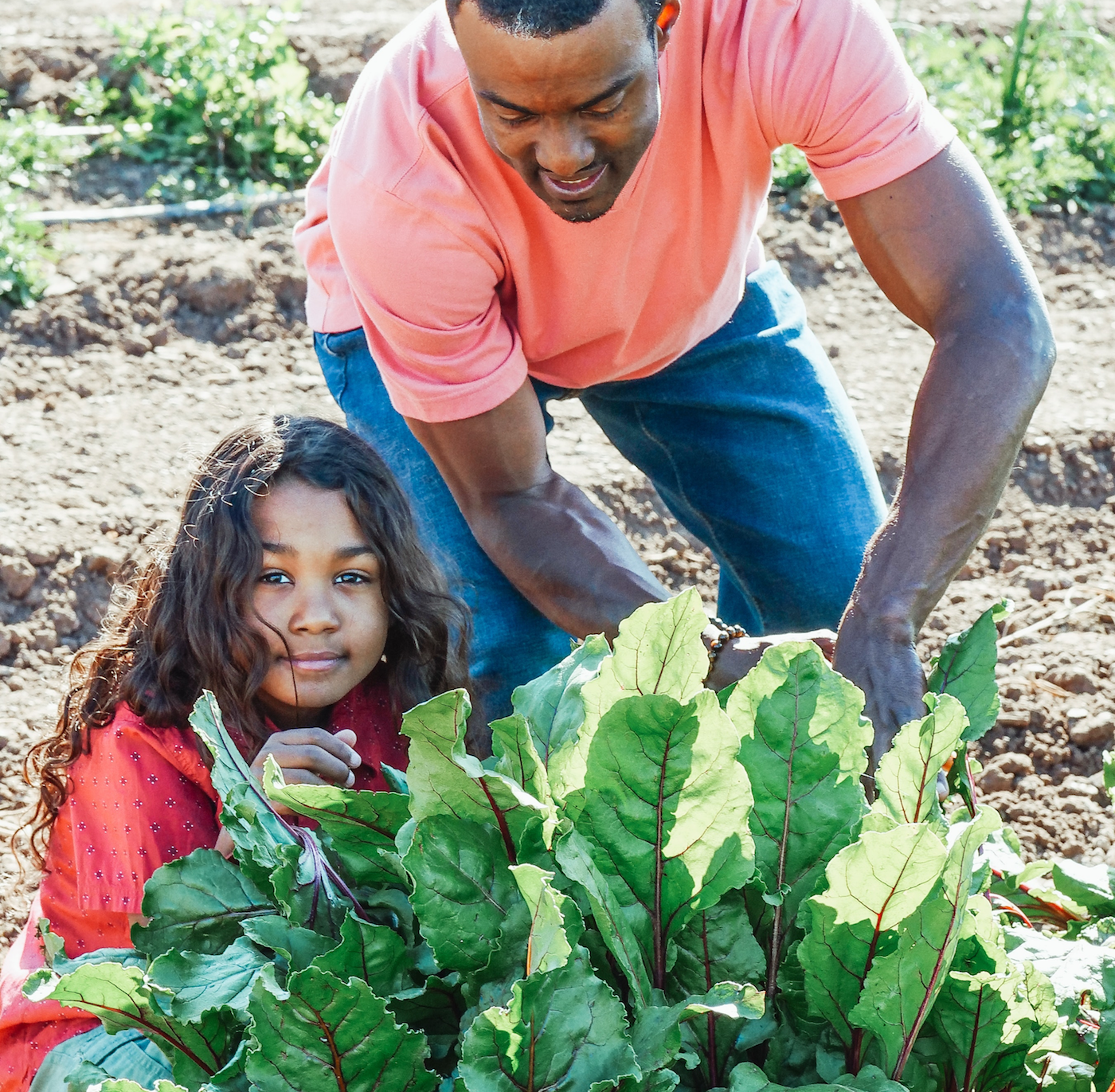 For centuries, Black-owned farms have played a key role in how Black Americans have forged their own identities, independence, wealth, health, and wellbeing amidst systems designed to repress them.