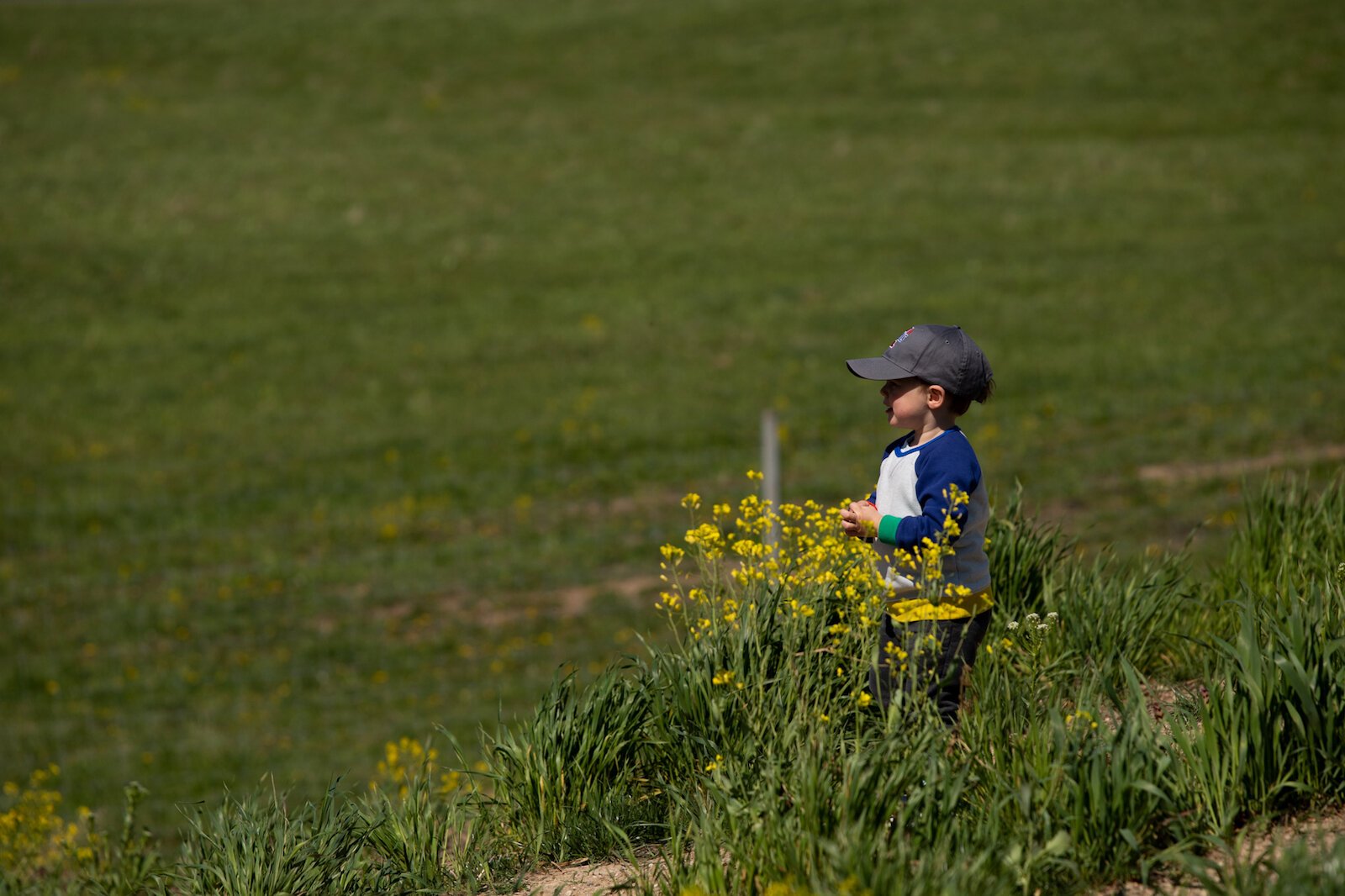 LC Nature Park opened in May 2021 at 9744 Aboite Rd in Roanoke.