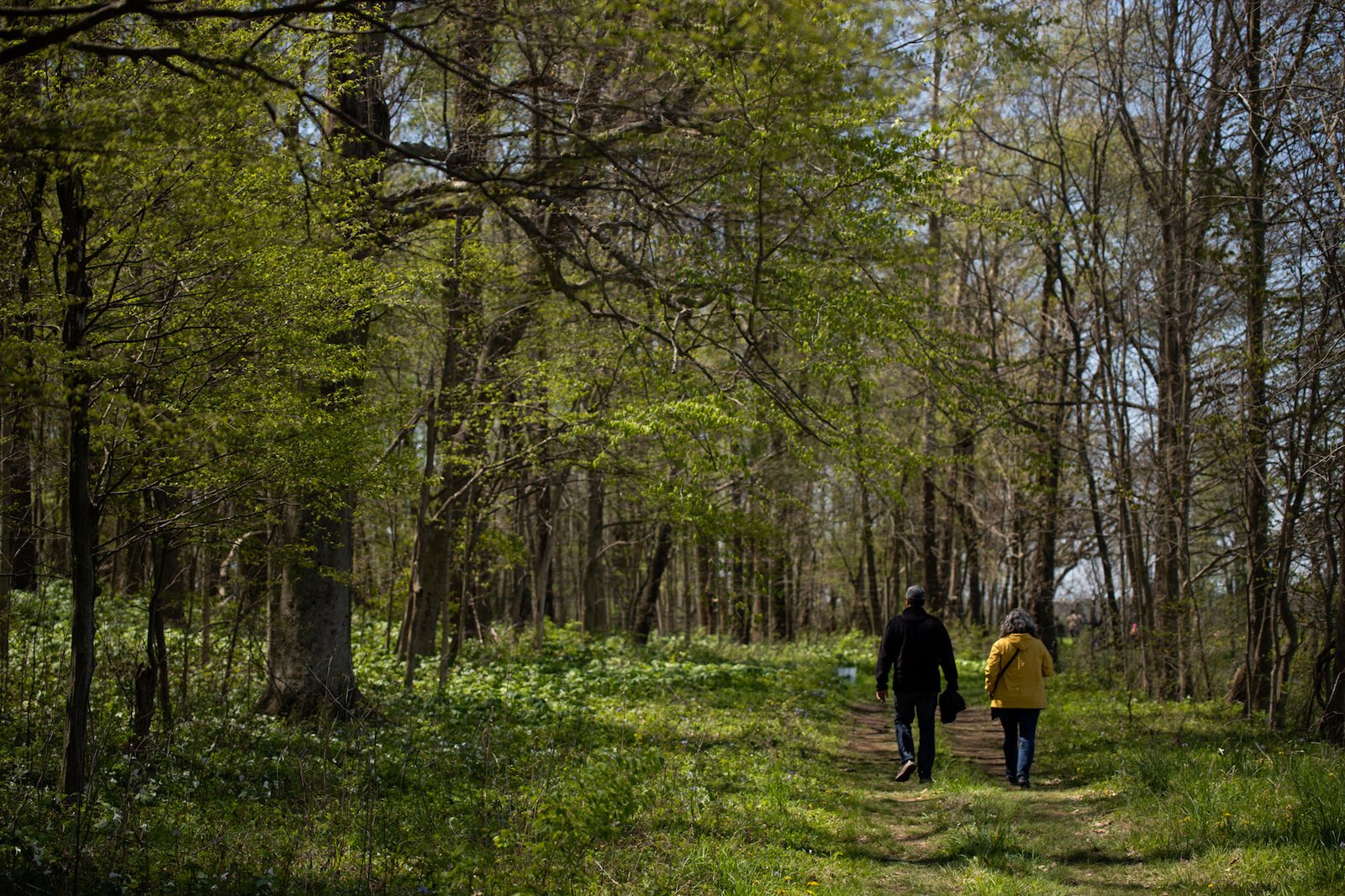 LC Nature Park opened in May 2021 at 9744 Aboite Rd in Roanoke.