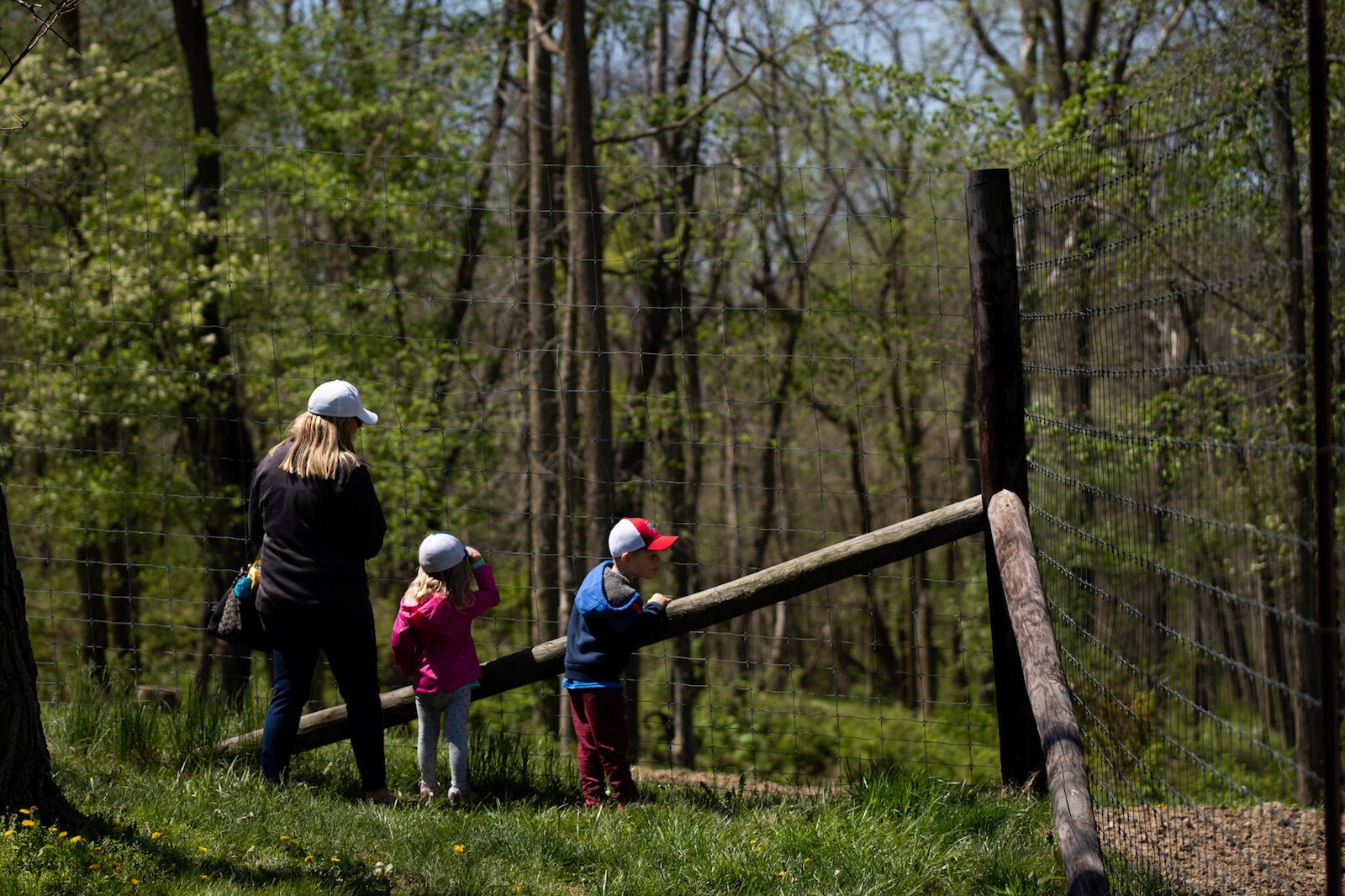 LC Nature Park opened in May 2021 at 9744 Aboite Rd in Roanoke.