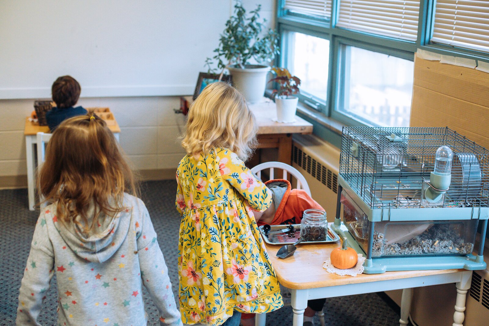 Montessori Education allows children to choose how to engage with the class environment, which is composed of purposefully designed activities.