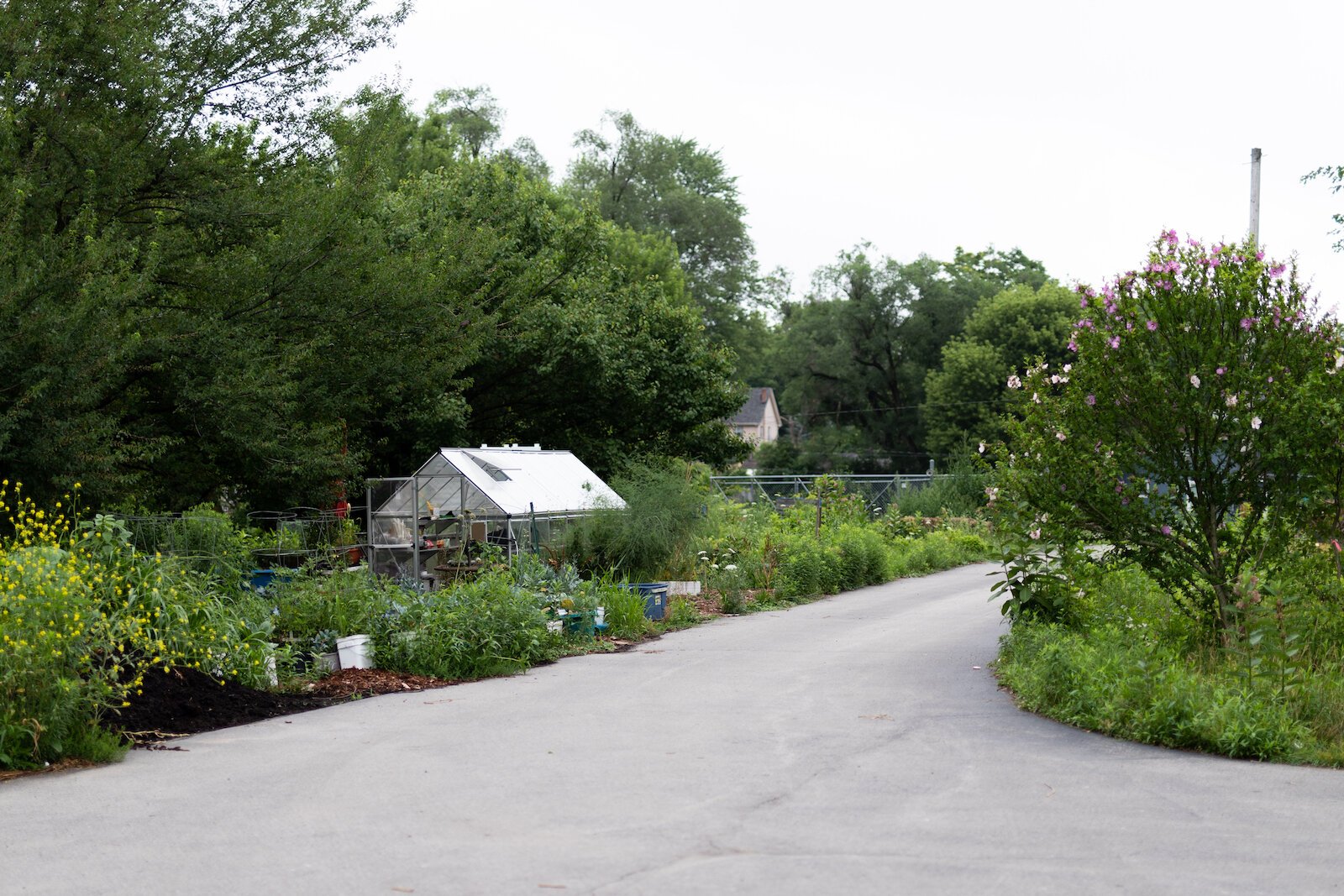 Poplar Village Gardens is based on three acres of land at 2107 Broadway in Fort Wayne's Poplar Neighborhood.