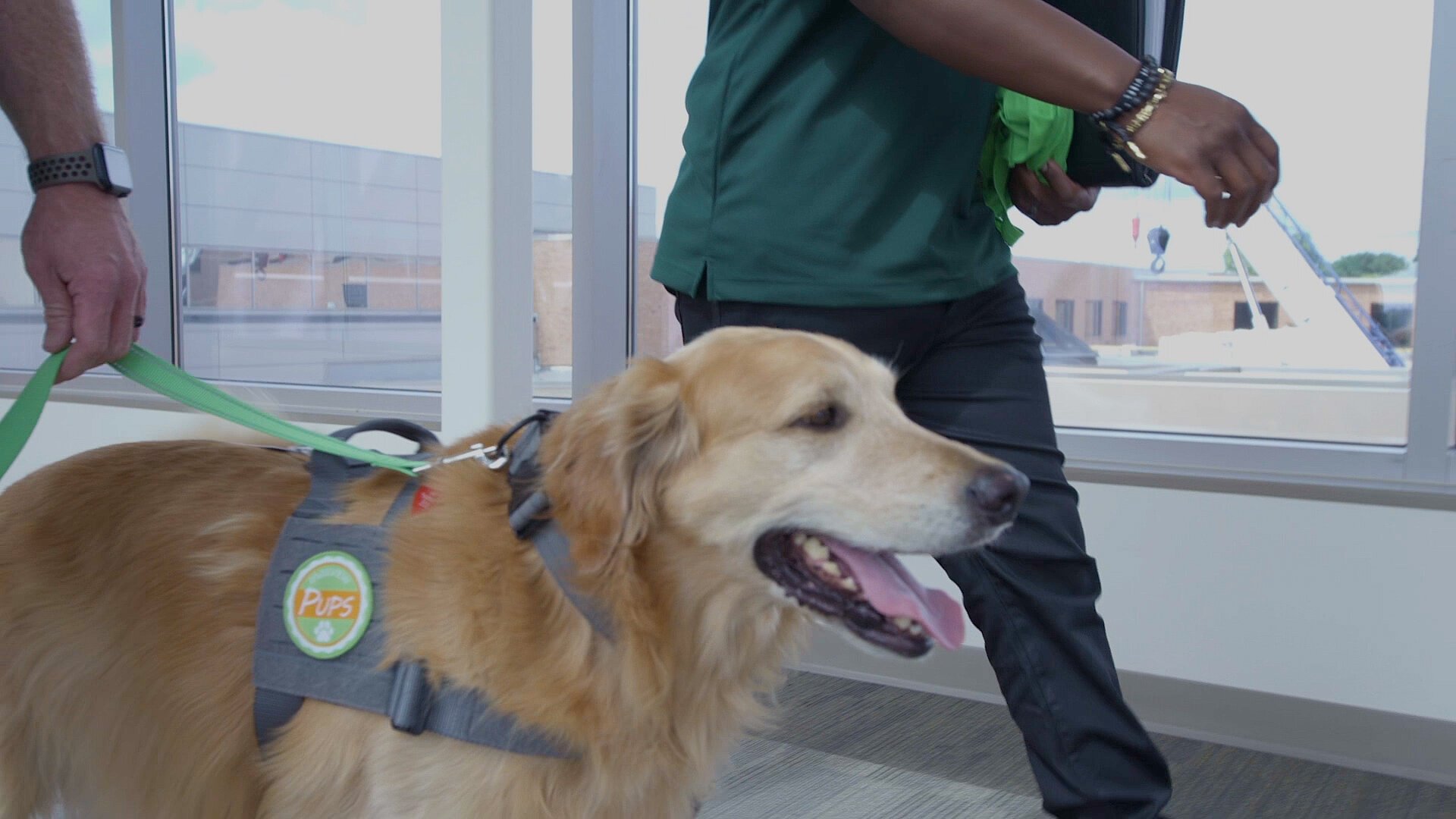 Seven-year-old golden retriever, Samuel, a Parkview Pup.