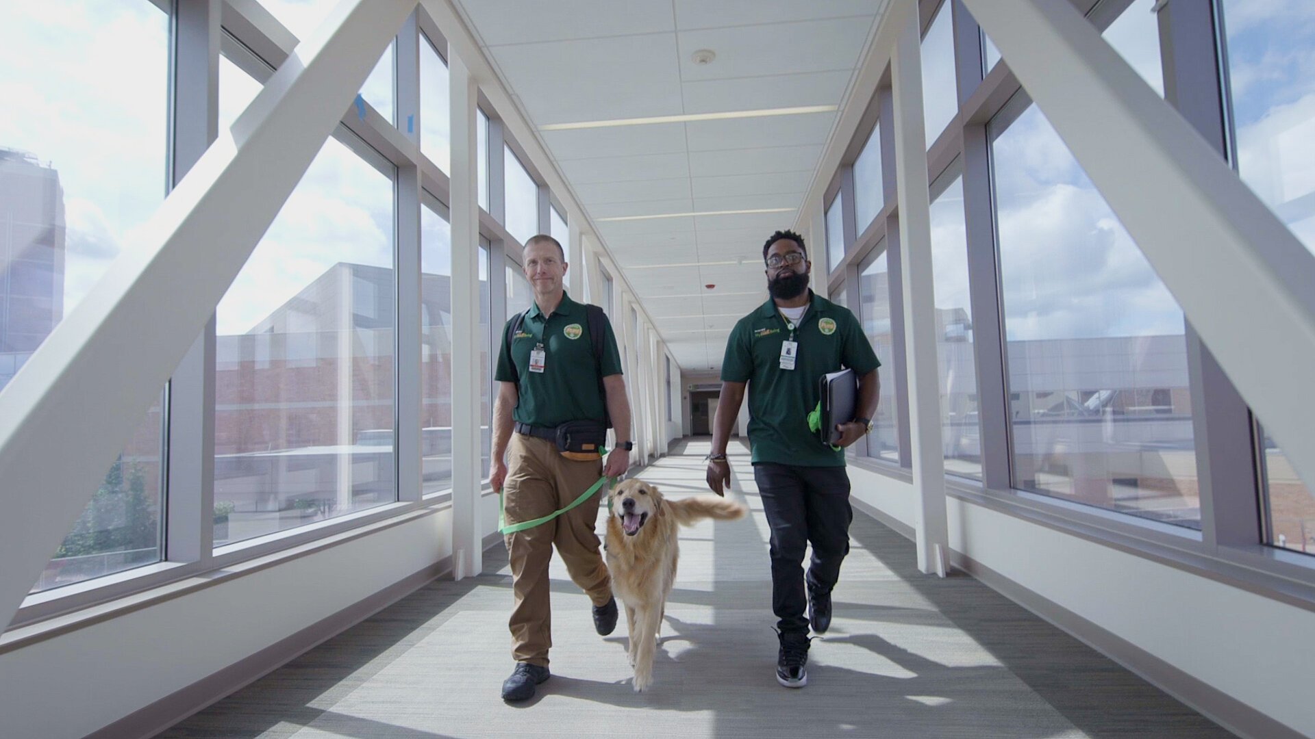Seven-year-old golden retriever, Samuel, walks with Mike Brown (left) and Freddie Austin (right).