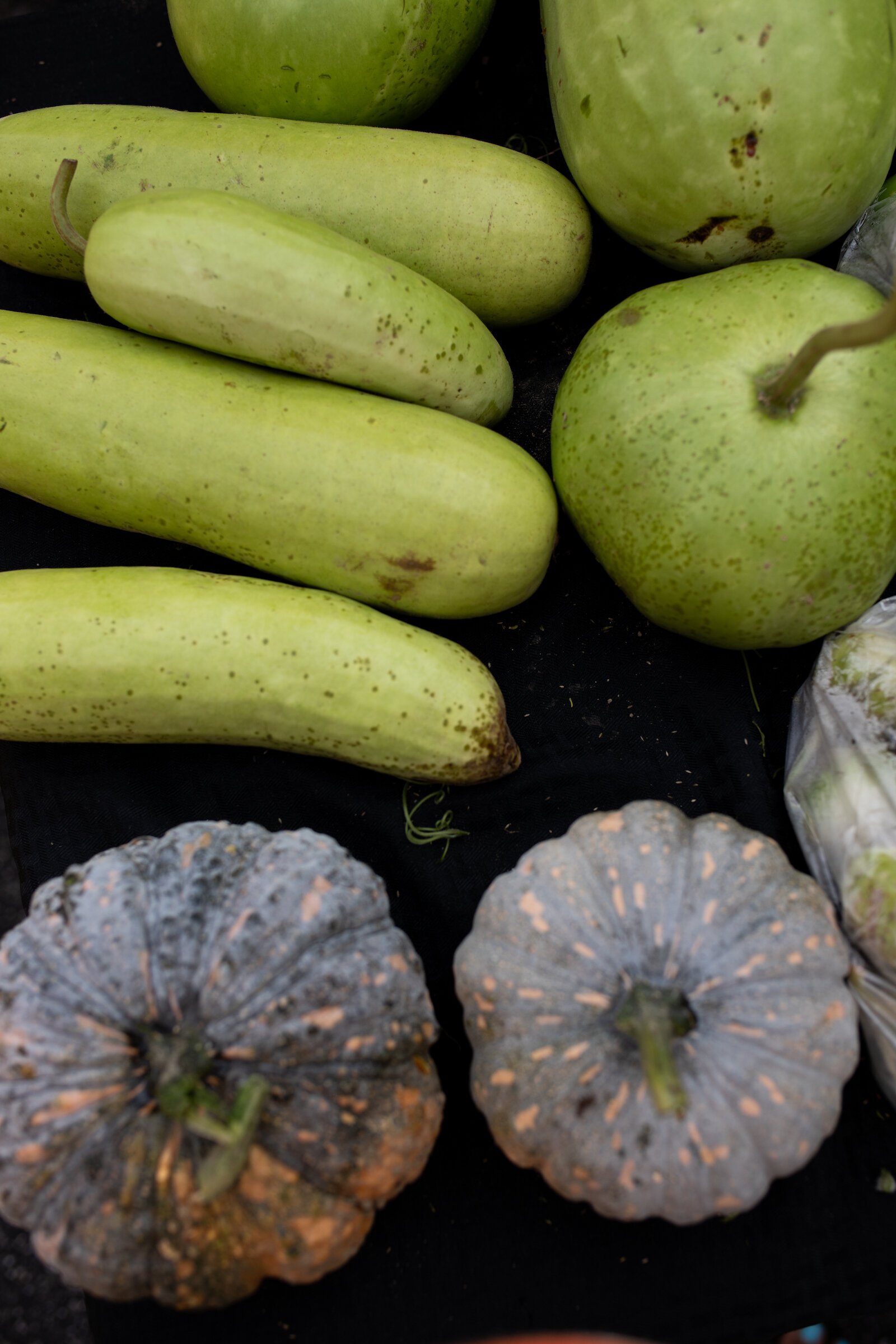 Produce grown by farmers at the Rose Avenue Education Farm.