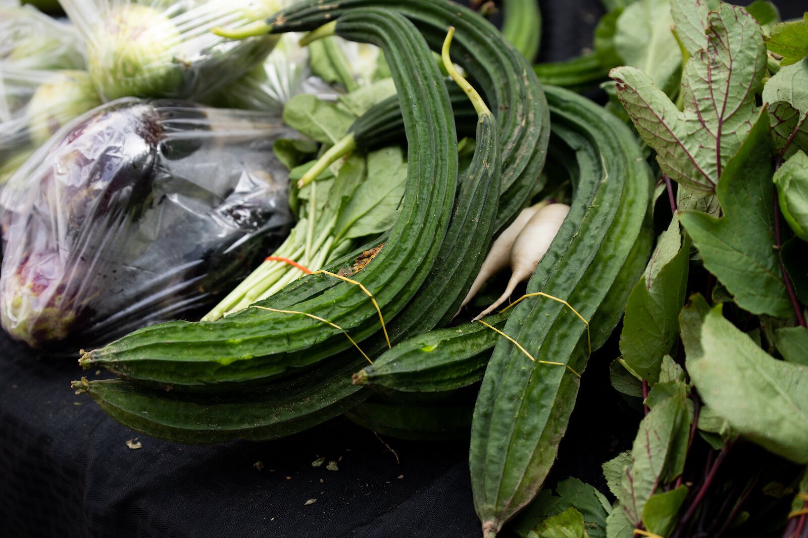 Produce grown by farmers at the Rose Avenue Education Farm.