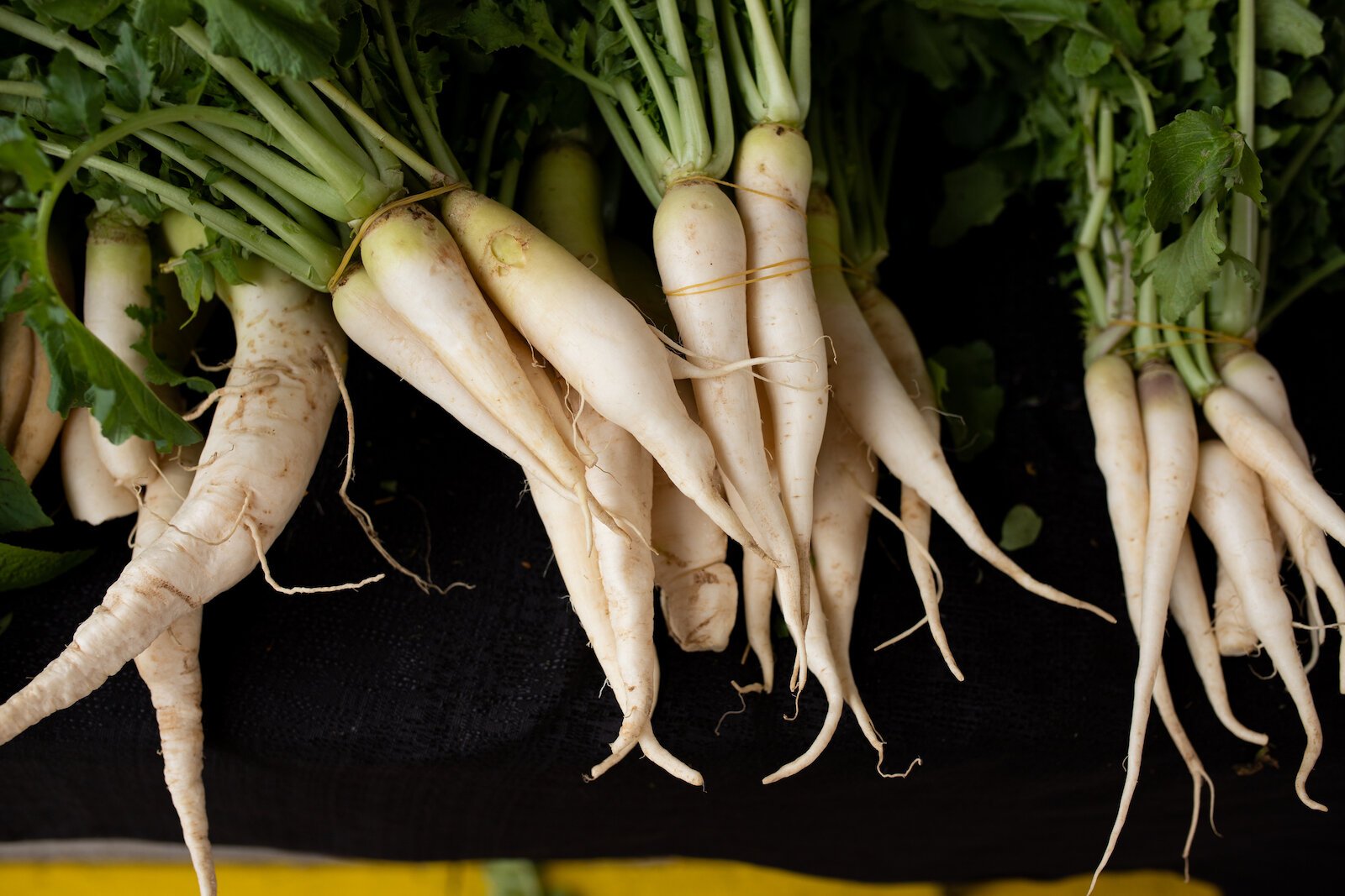 Carrots grown by farmers at the Rose Avenue Education Farm.