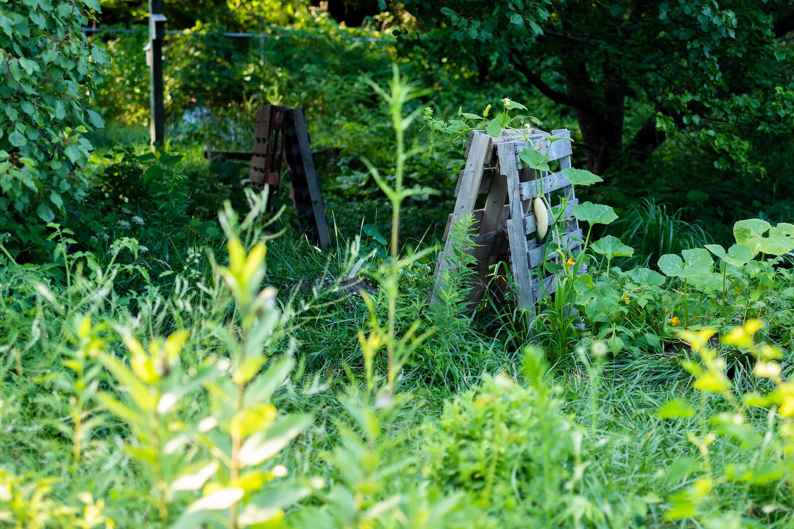 Poplar Village Gardens is based on three acres of land at 2107 Broadway in Fort Wayne's Poplar Neighborhood.