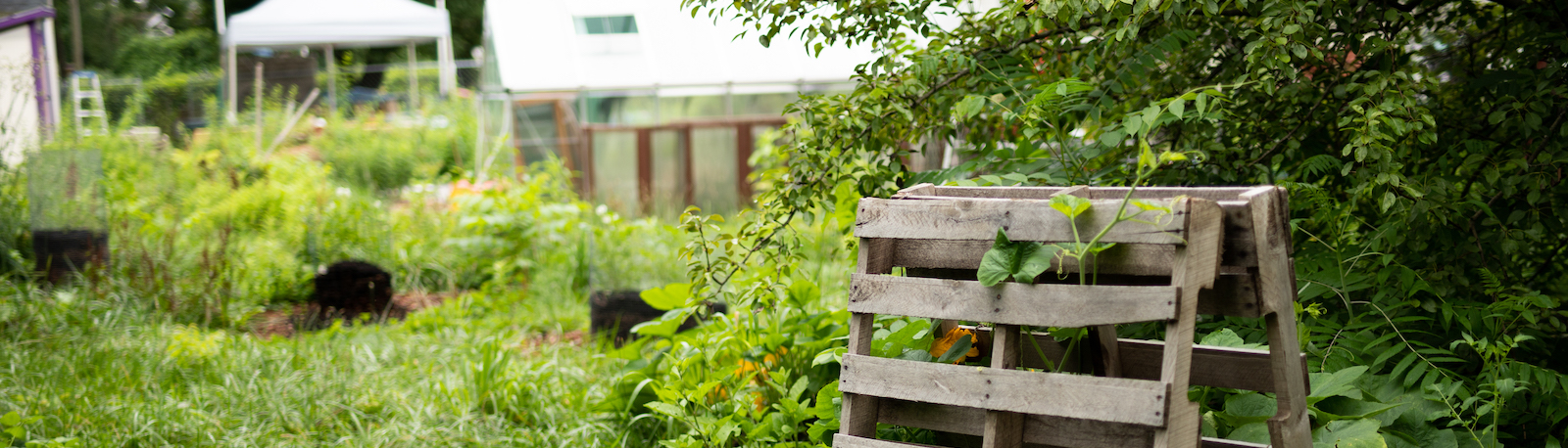 Poplar Village Gardens is an eco-friendly food forest in the in the Poplar Neighborhood of Fort Wayne.