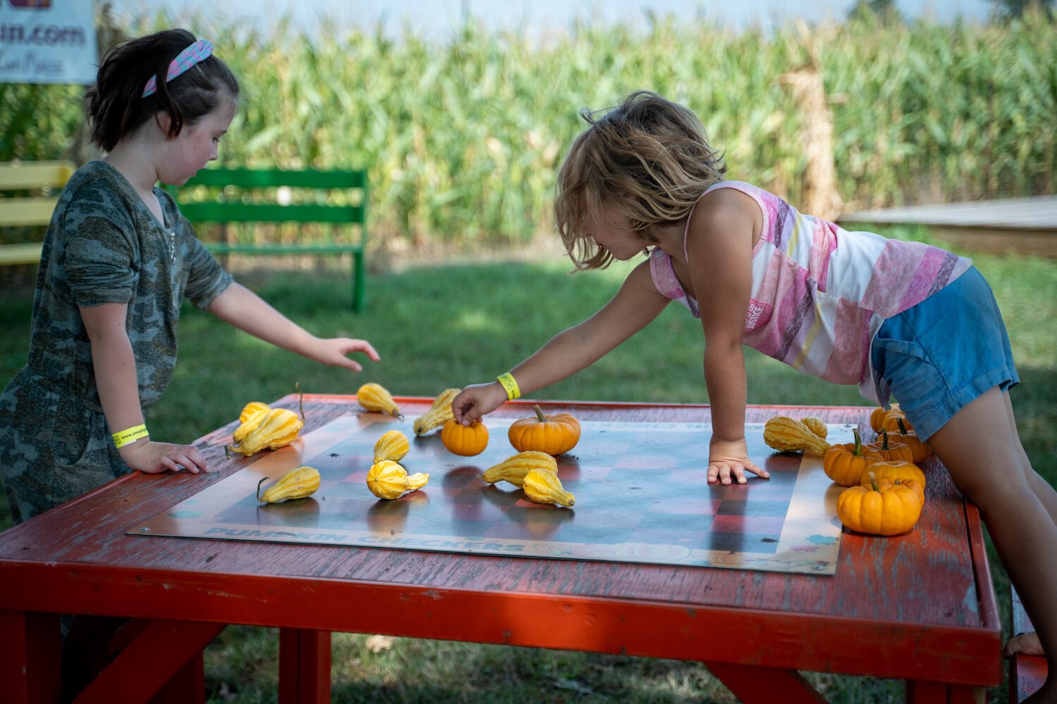 Children enjoy pumpkin checkers at Amazing Fall Fun in Waterloo.