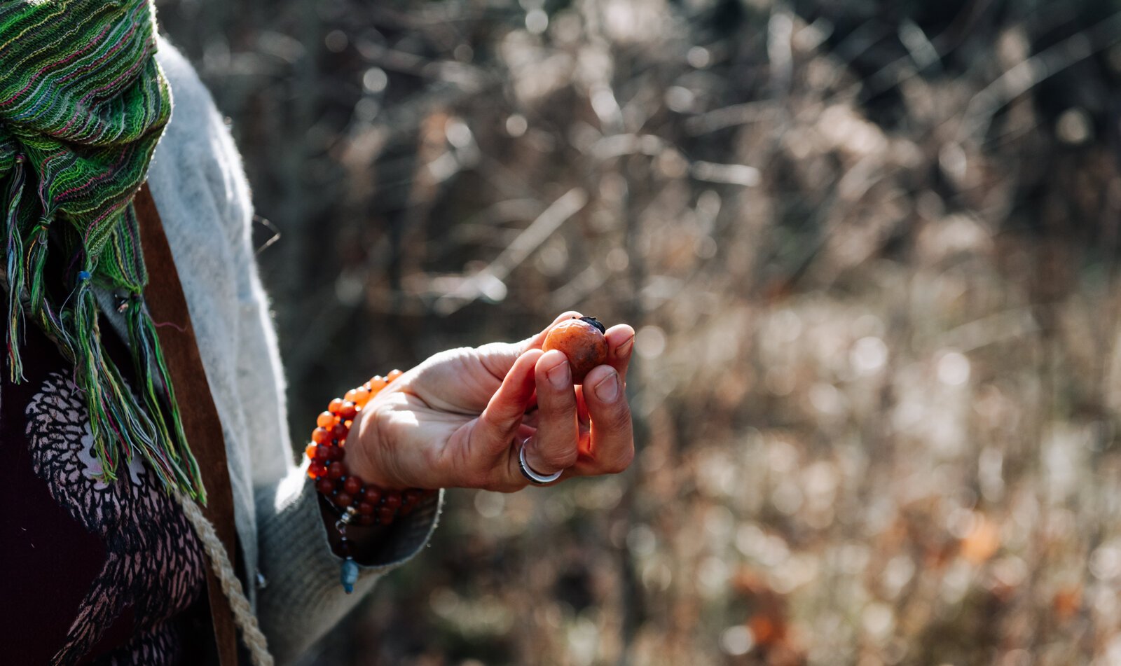 Claudia Hedeen of the Miami Tribe of Oklahoma forages persimmon, an edible fruit off of a tree, on Miami tribal property in Fort Wayne.