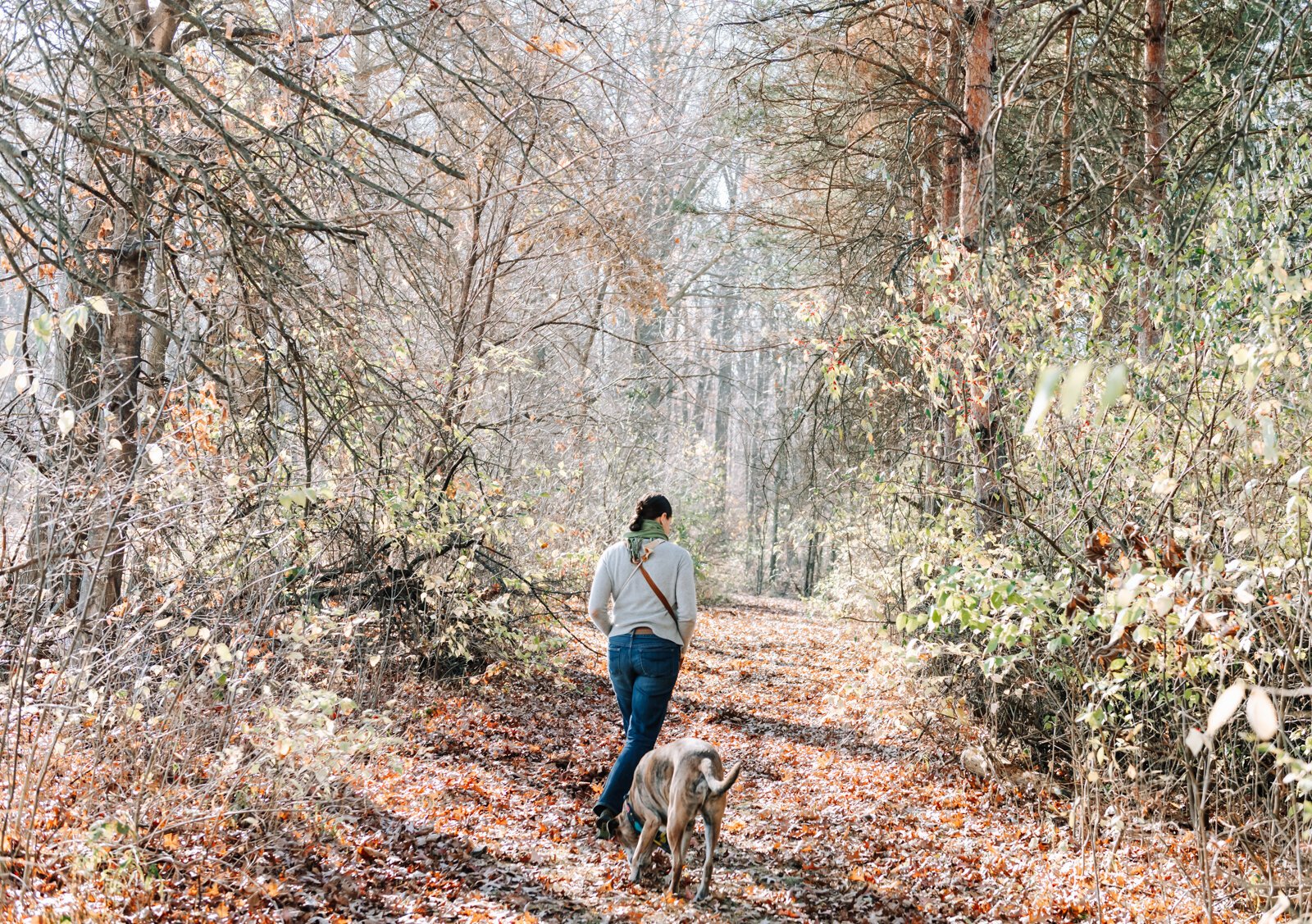 Claudia Hedeen of the Miami Tribe of Oklahoma, forages with her dog Hobbes on Miami tribal property in Fort Wayne.