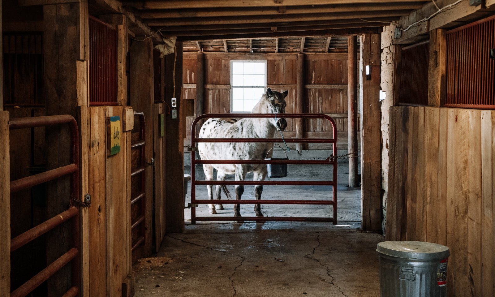 The Bailey's horse, Flash, stays inside the barn below Airbnb guests.