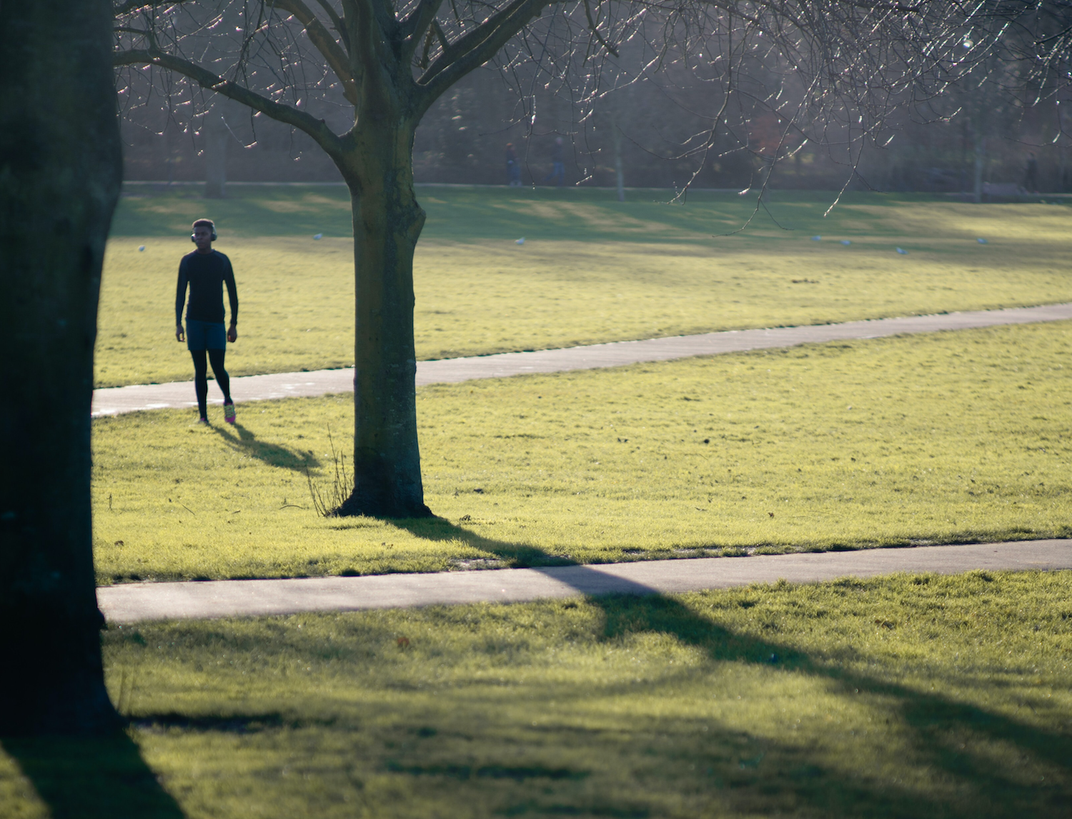 SoundWalk allows composers to create different sections of music for different parts of a park or location.