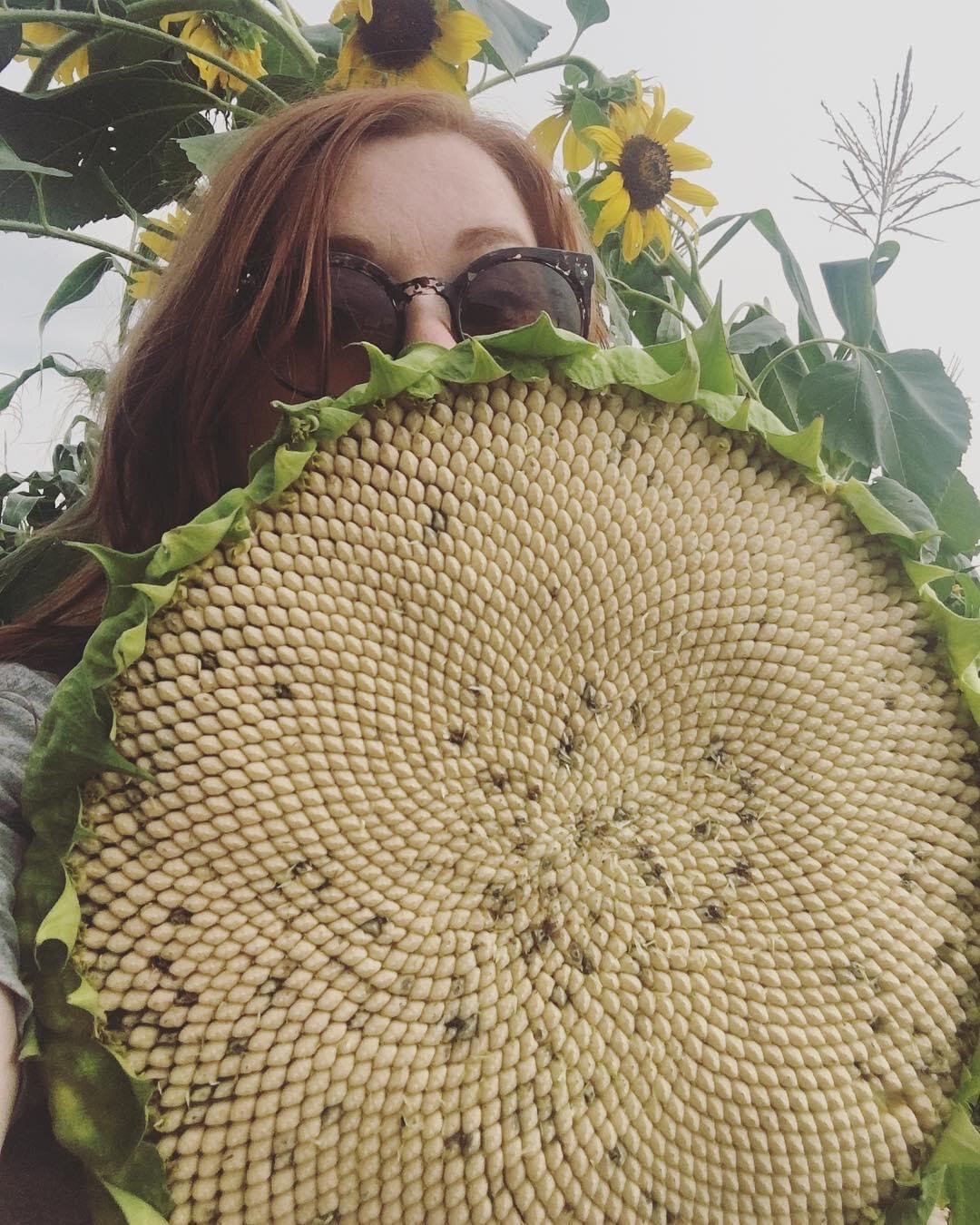 Ashley Sharp Bradtmueller with a sunflower from her farm, Fox and Fodder.