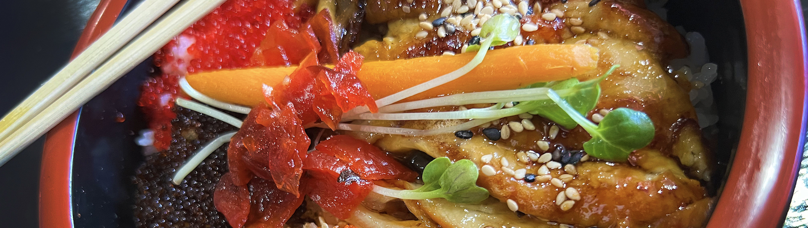 Unagi donburi at Haru Sushi & Izakaya across the street from Glenbrook Mall at 4036 Coldwater Rd.