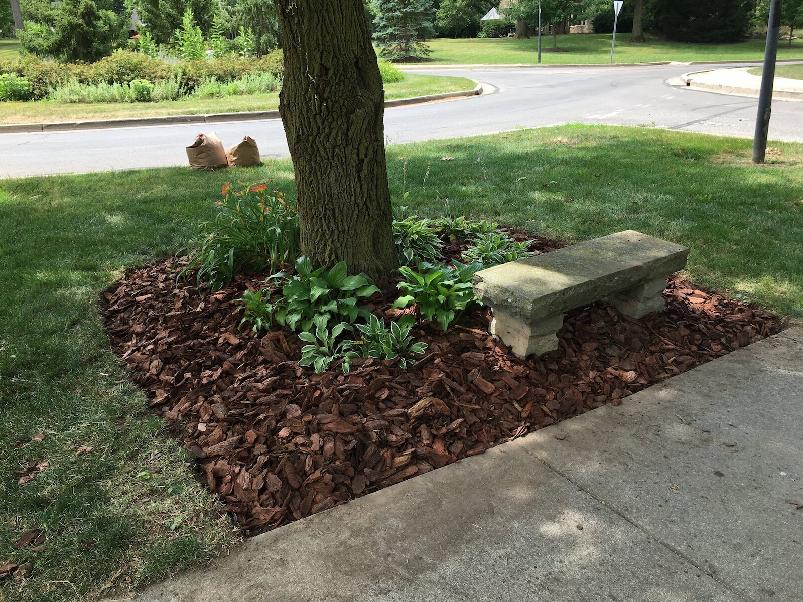 As a pocket gardener for Historic Southwood Park's Board, Sierah Barnhart maintained a garden at the Old Mill roundabout and several others throughout the neighborhood for a couple of years.