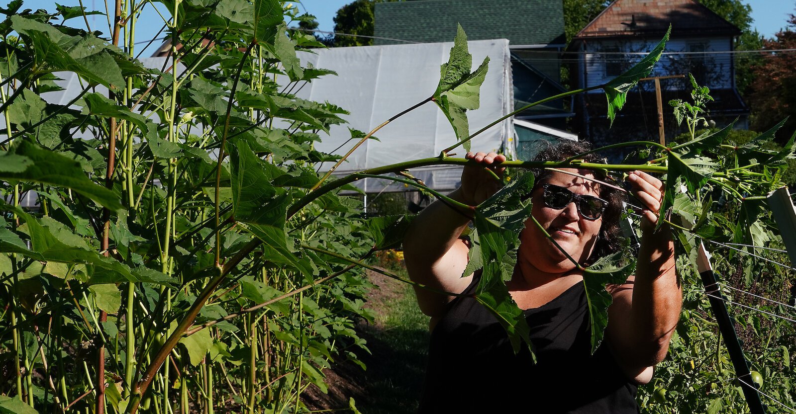 Terri Theisen, an educator at the Allen County - Purdue Extension office, examines a plant.