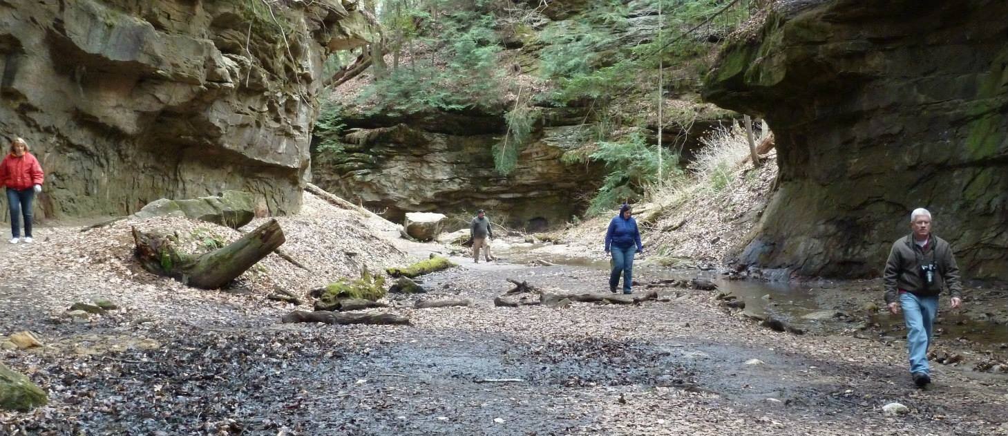 Fellows at Turkey Run State Park