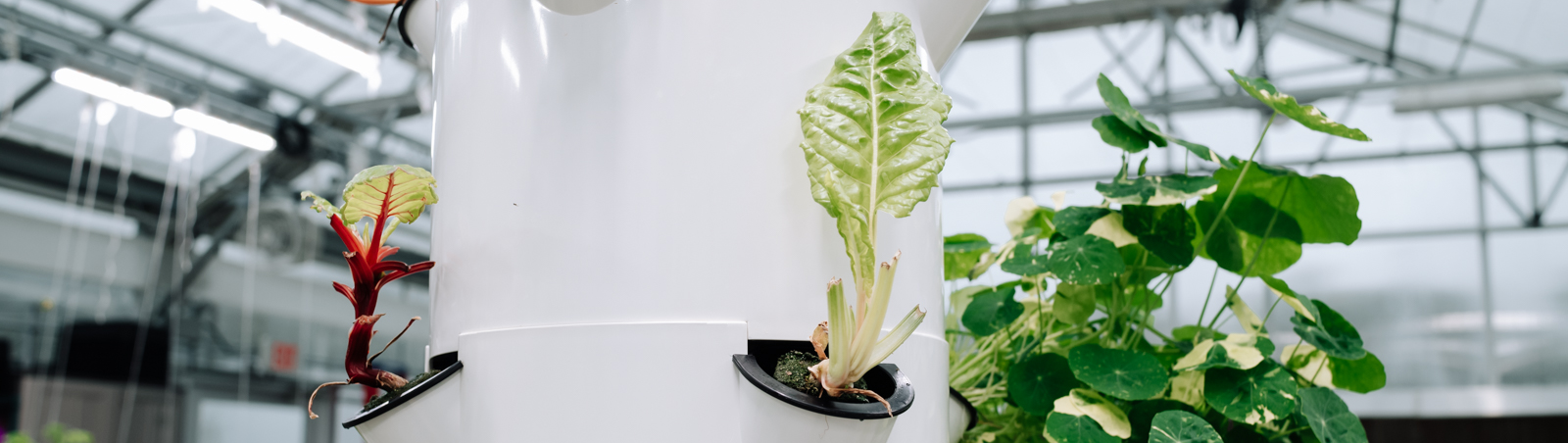 Some Northeast Indiana schools will be receiving Juice+ tower gardens as part of the region's expanding Farm to School initiative.