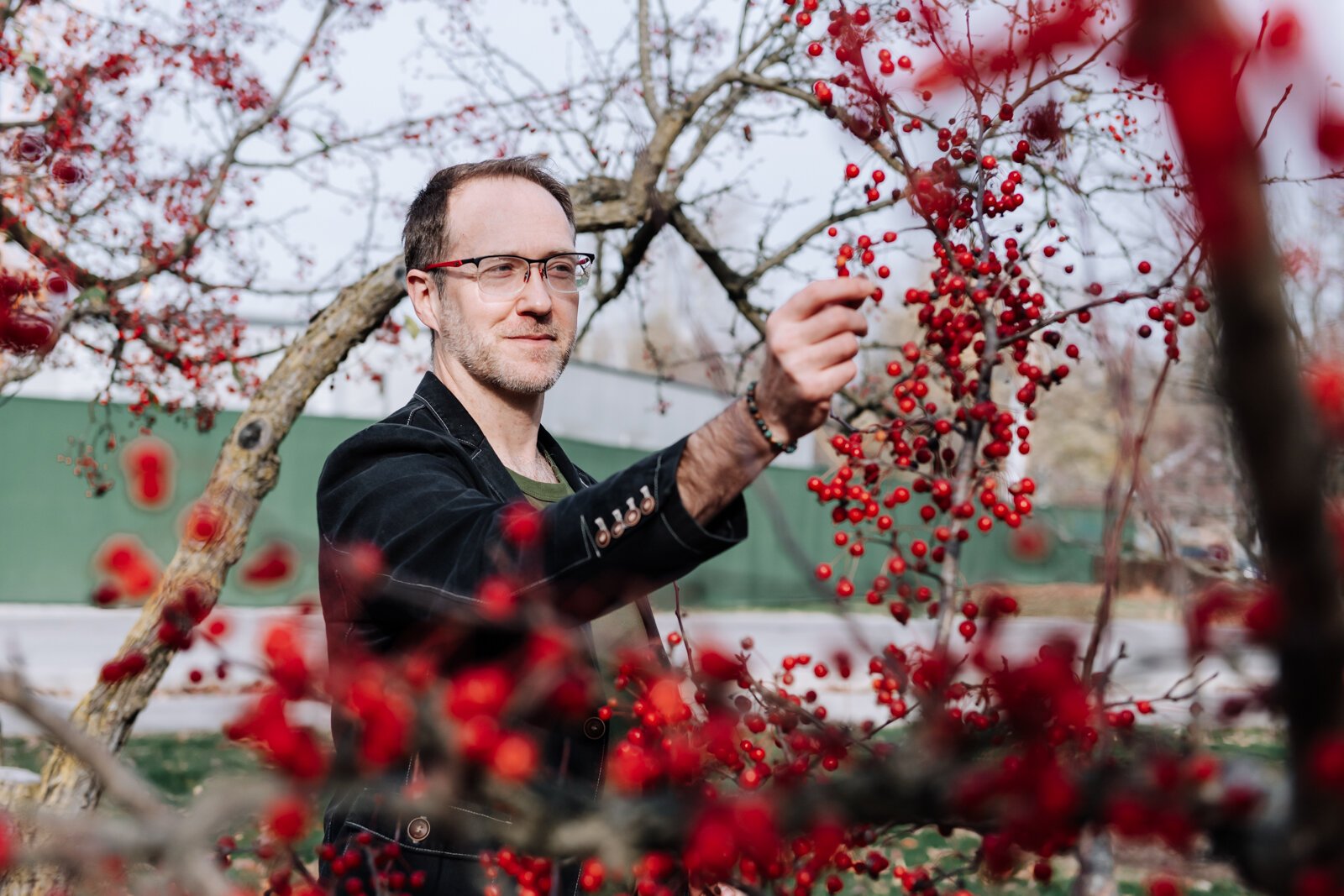 Michael Hoag forages for edible plants and fruit including crab apples at Foster Park in Fort Wayne.