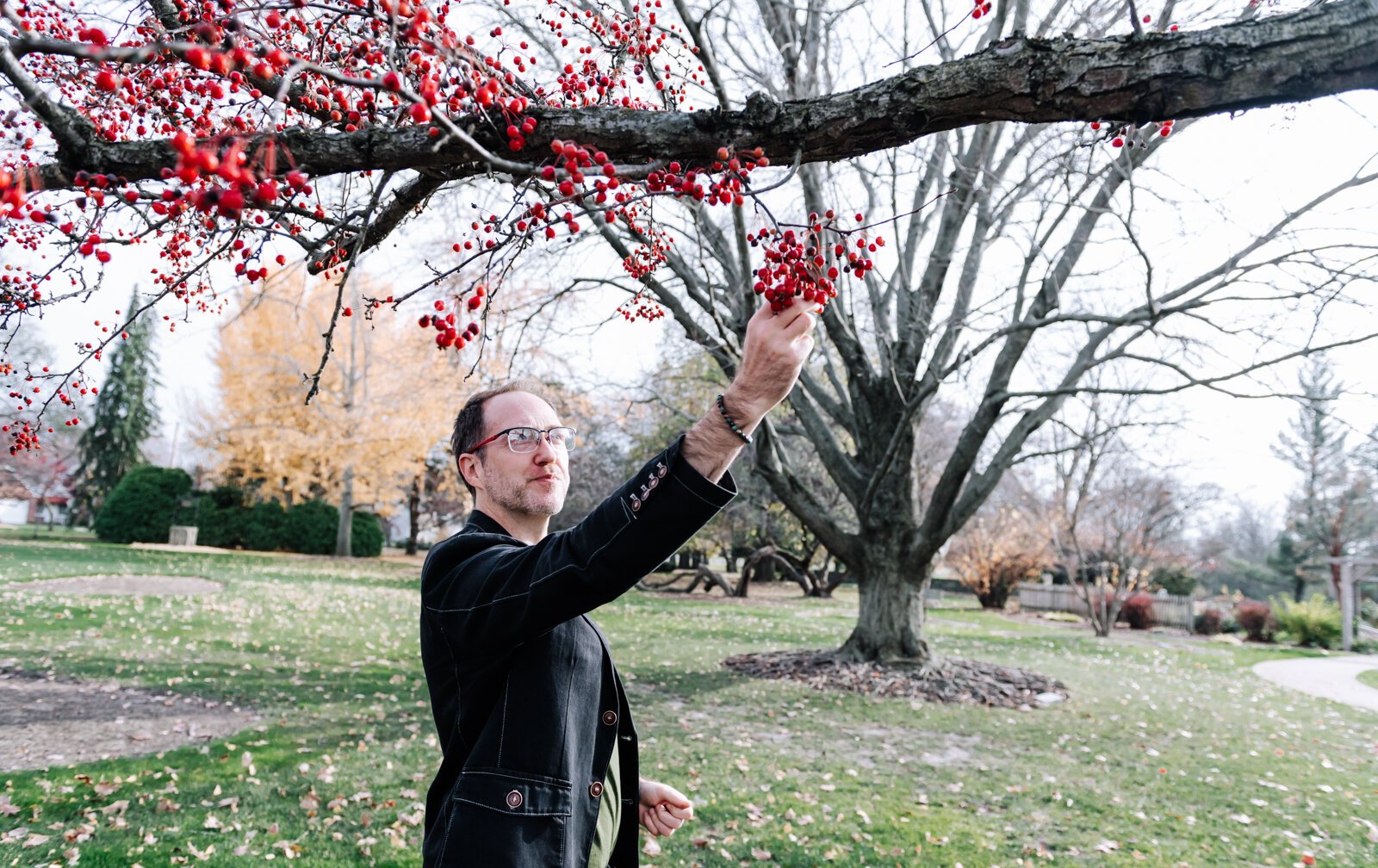 Michael Hoag forages for edible plants and fruit including crab apples at Foster Park in Fort Wayne.