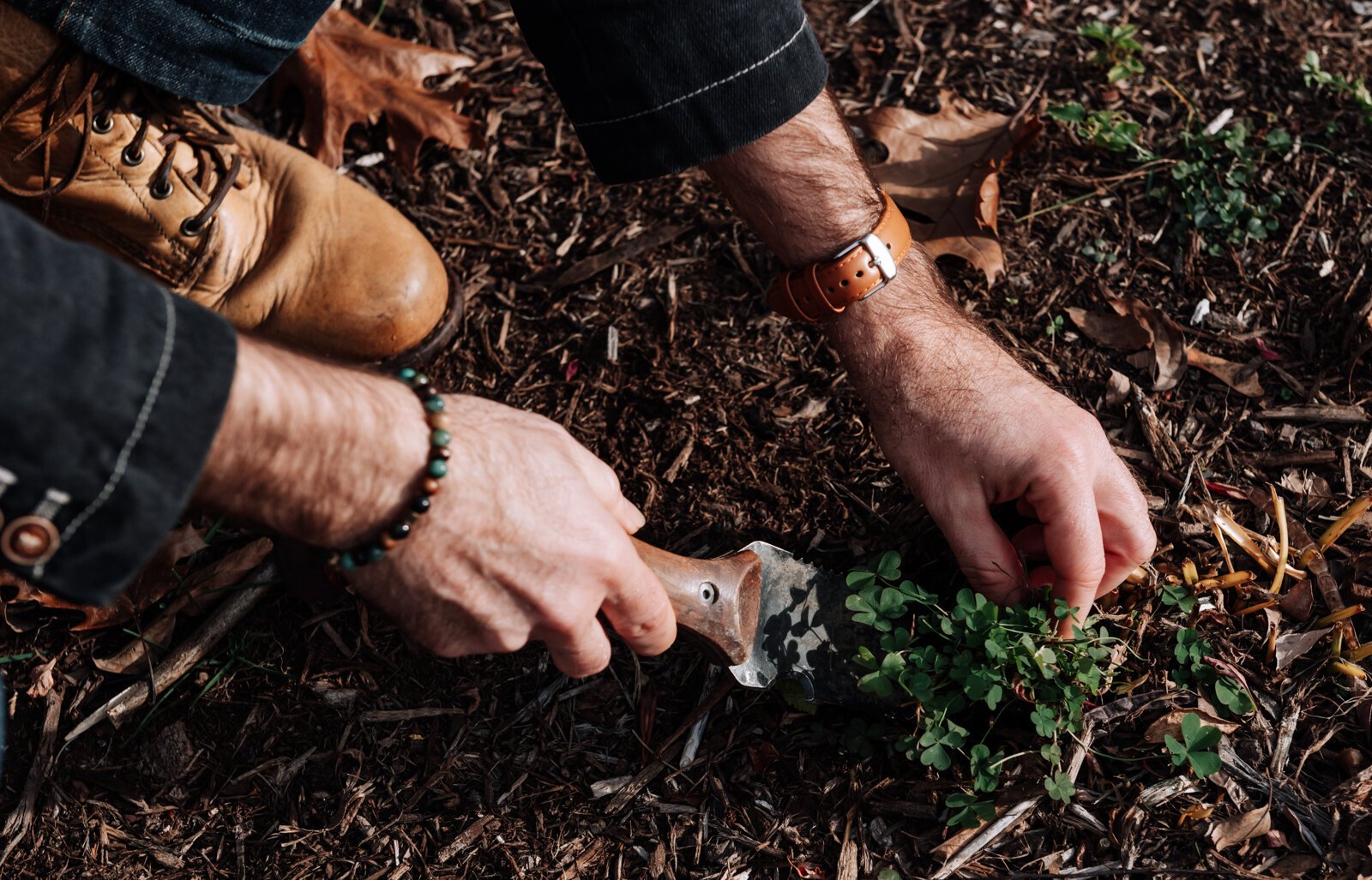 Michael Hoag forages for edible plants and fruit including wood sorrel at Foster Park in Fort Wayne.